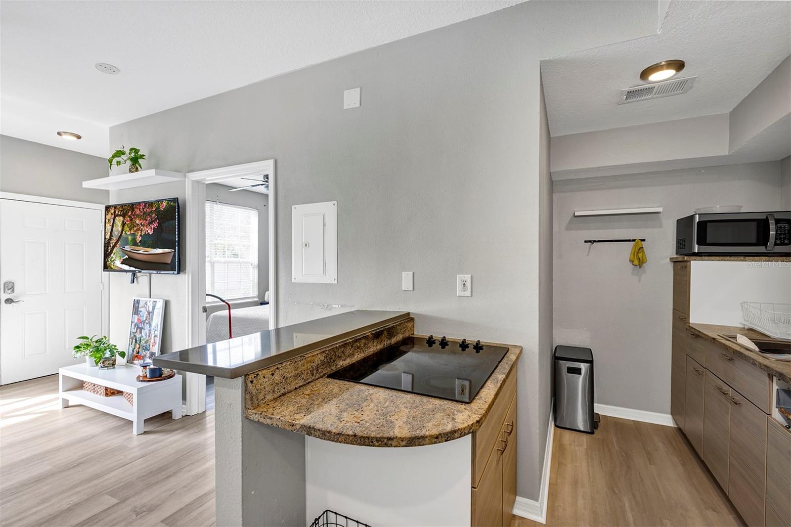 10520 WINDSOR LAKE CT #10520, TAMPA, FL, 33626