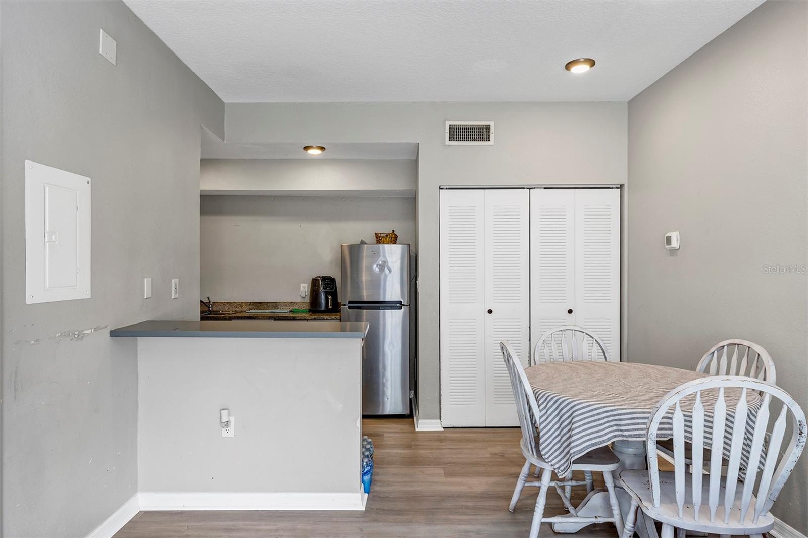 10520 WINDSOR LAKE CT #10520, TAMPA, FL, 33626