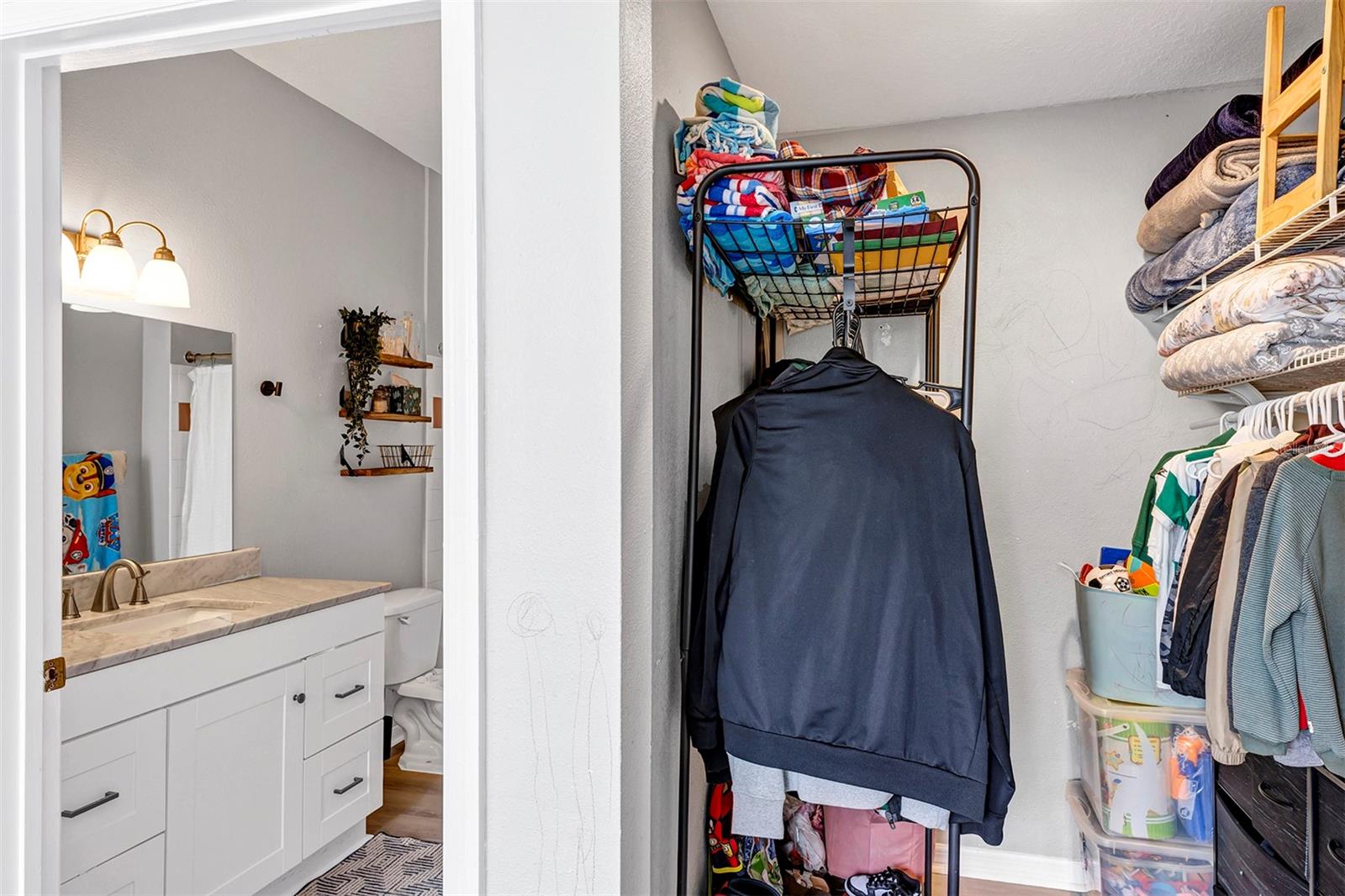 10520 WINDSOR LAKE CT #10520, TAMPA, FL, 33626