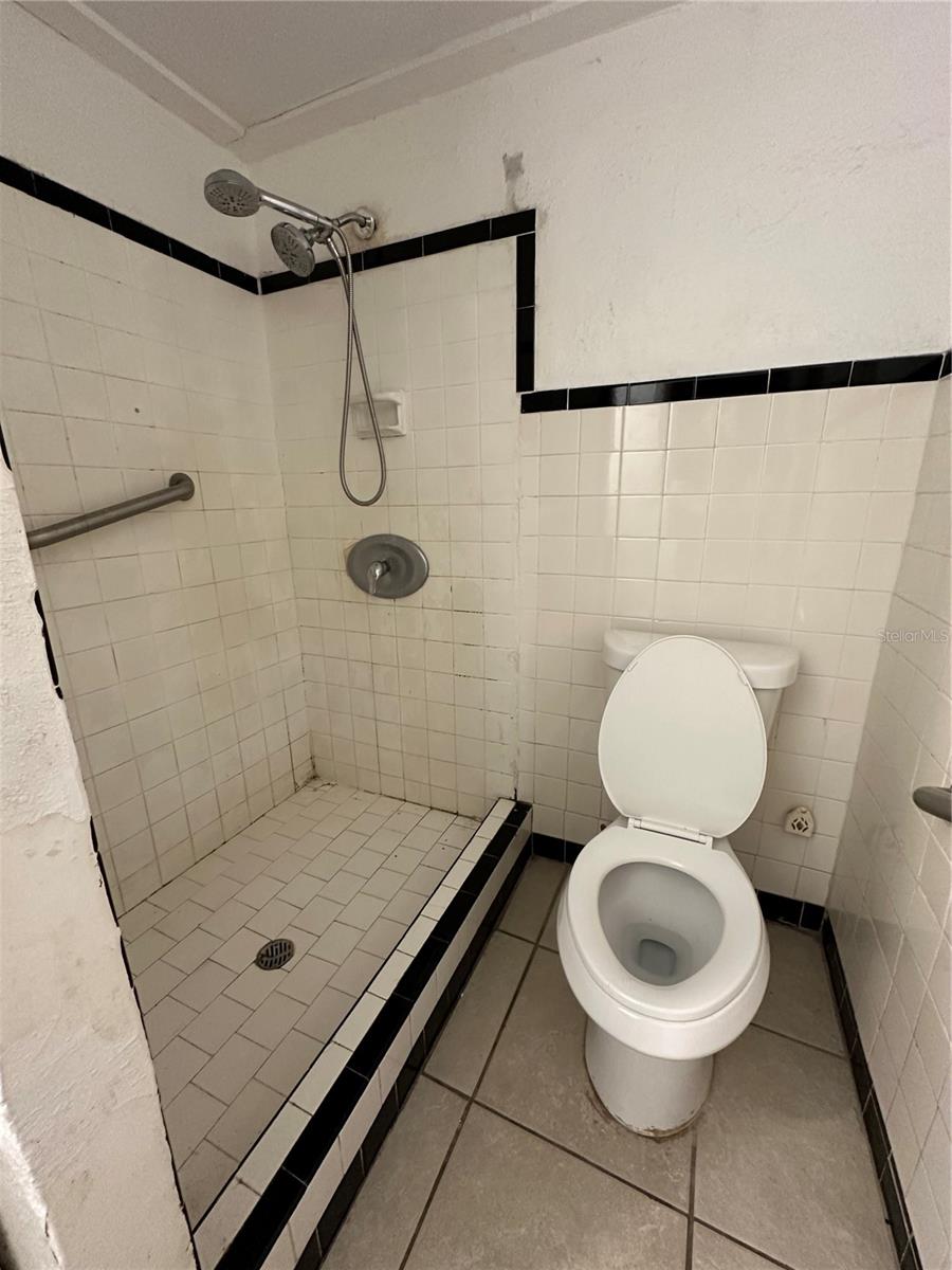 703 E HAMILTON AVE, TAMPA, FL, 33604