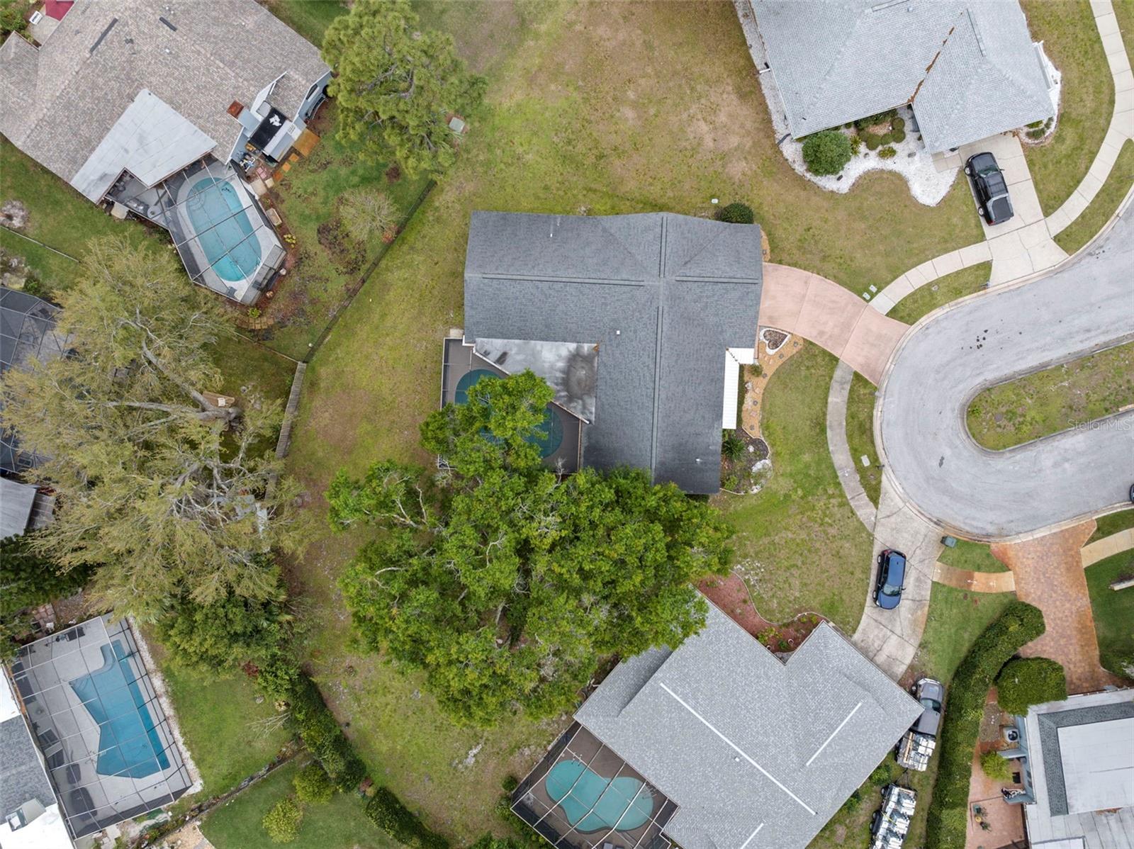 112 ROSEWOOD CT, PALM HARBOR, FL, 34685