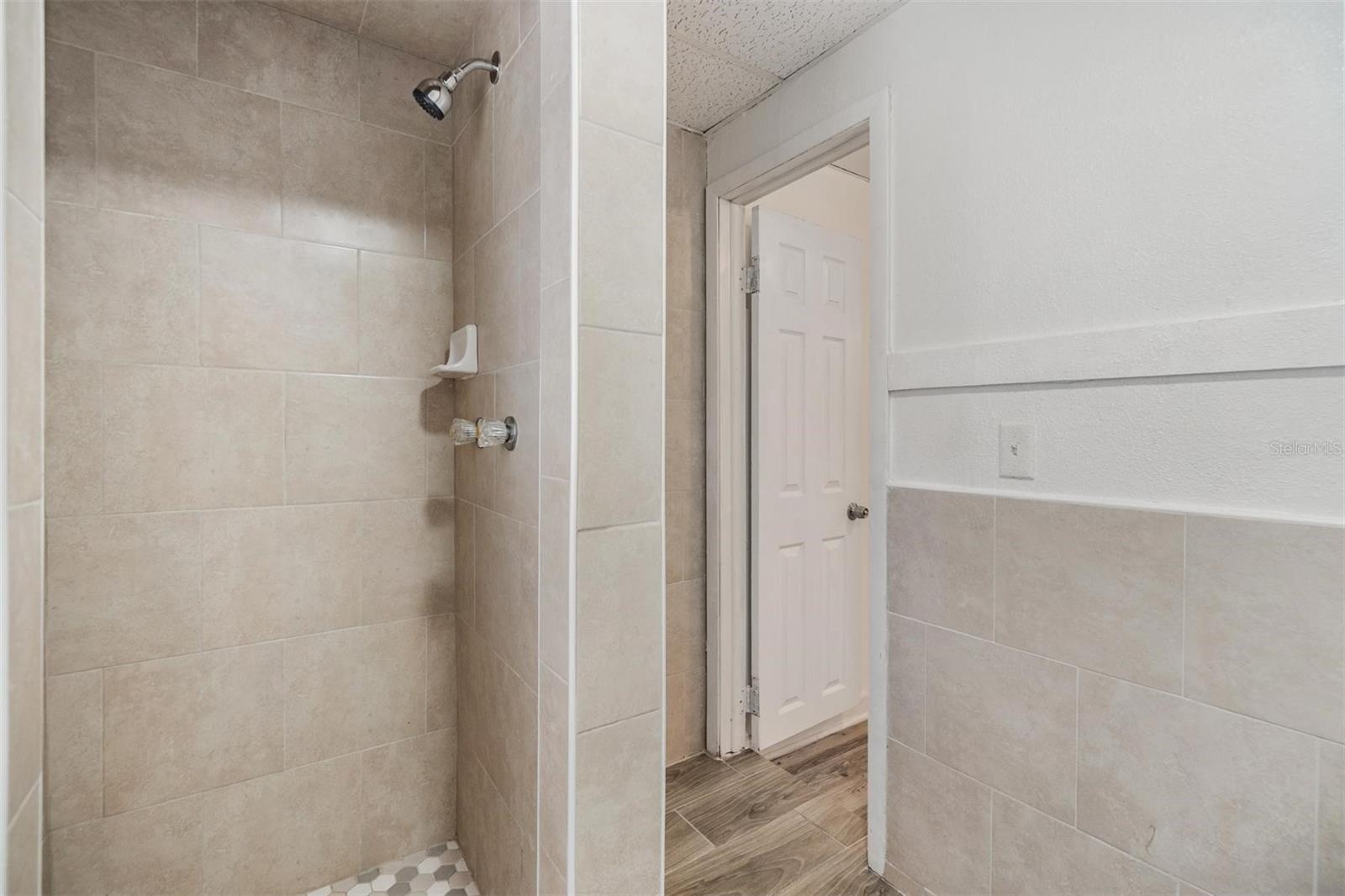 2914 N 10TH ST, TAMPA, FL, 33605