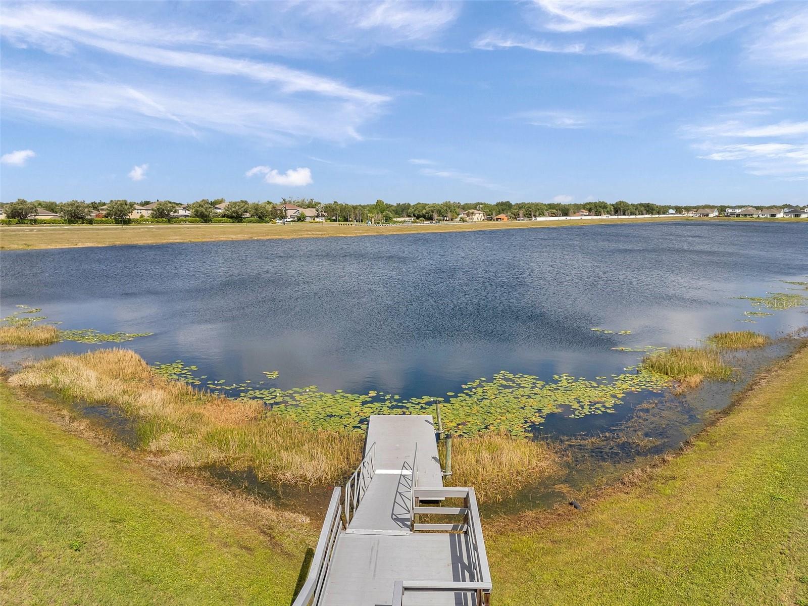 11412 FRESHWATER RIDGE DR, RIVERVIEW, FL, 33569