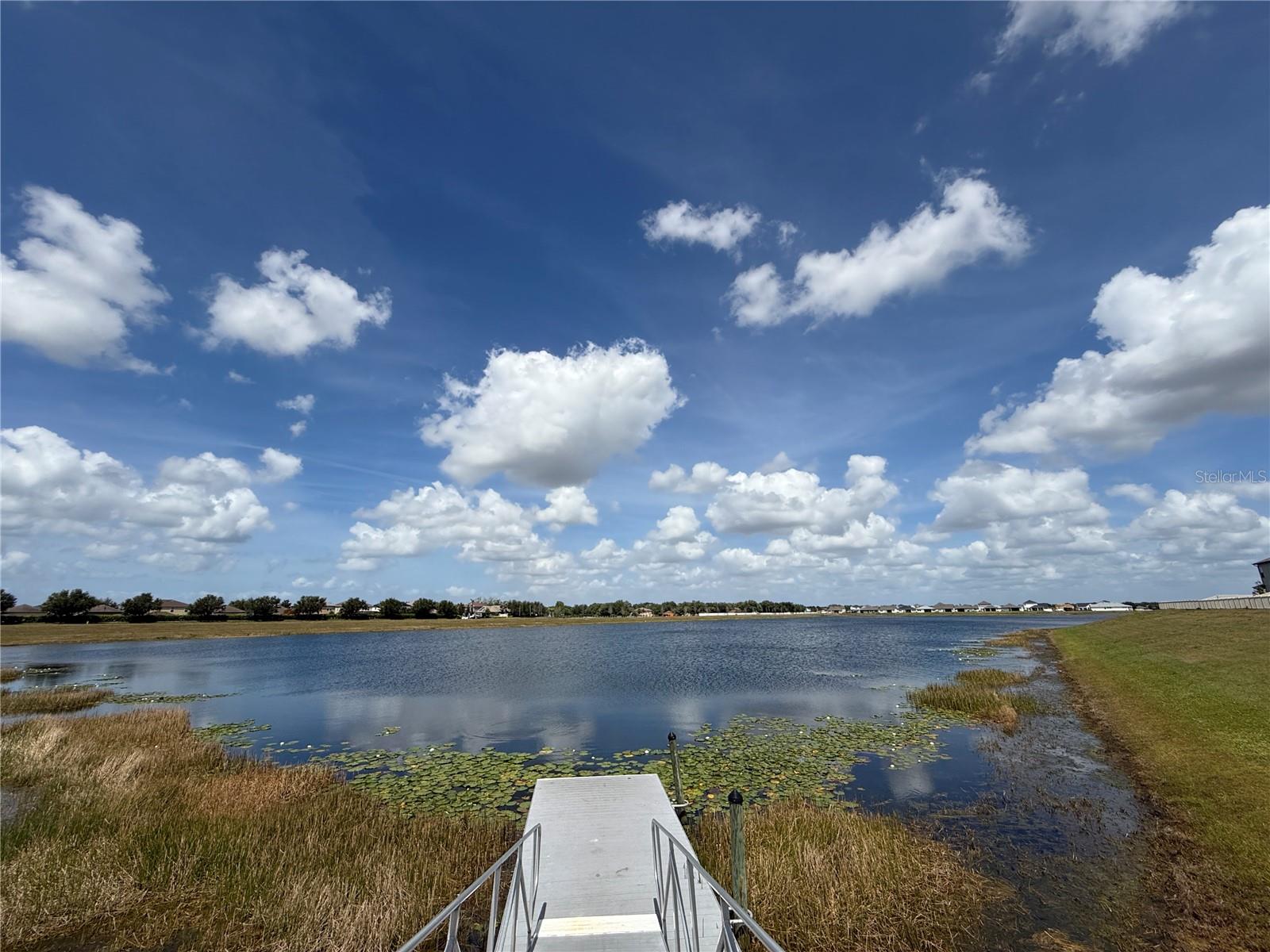 11412 FRESHWATER RIDGE DR, RIVERVIEW, FL, 33569