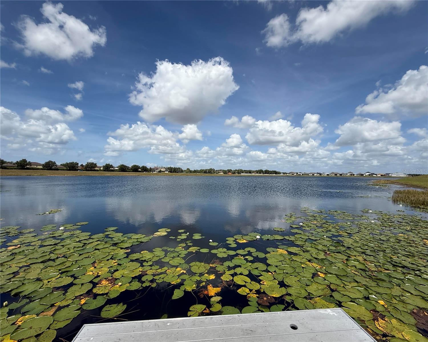 11412 FRESHWATER RIDGE DR, RIVERVIEW, FL, 33569