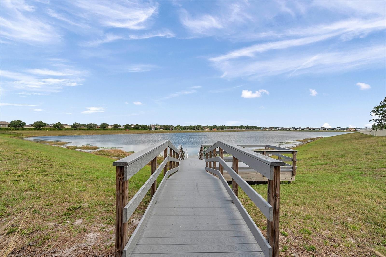 11412 FRESHWATER RIDGE DR, RIVERVIEW, FL, 33569