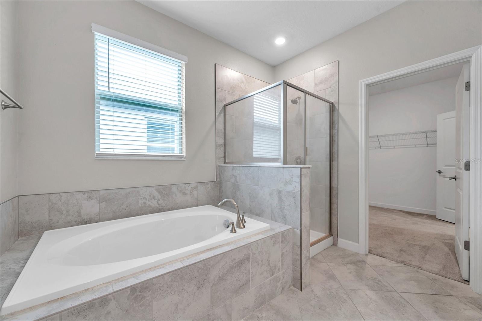 11412 FRESHWATER RIDGE DR, RIVERVIEW, FL, 33569