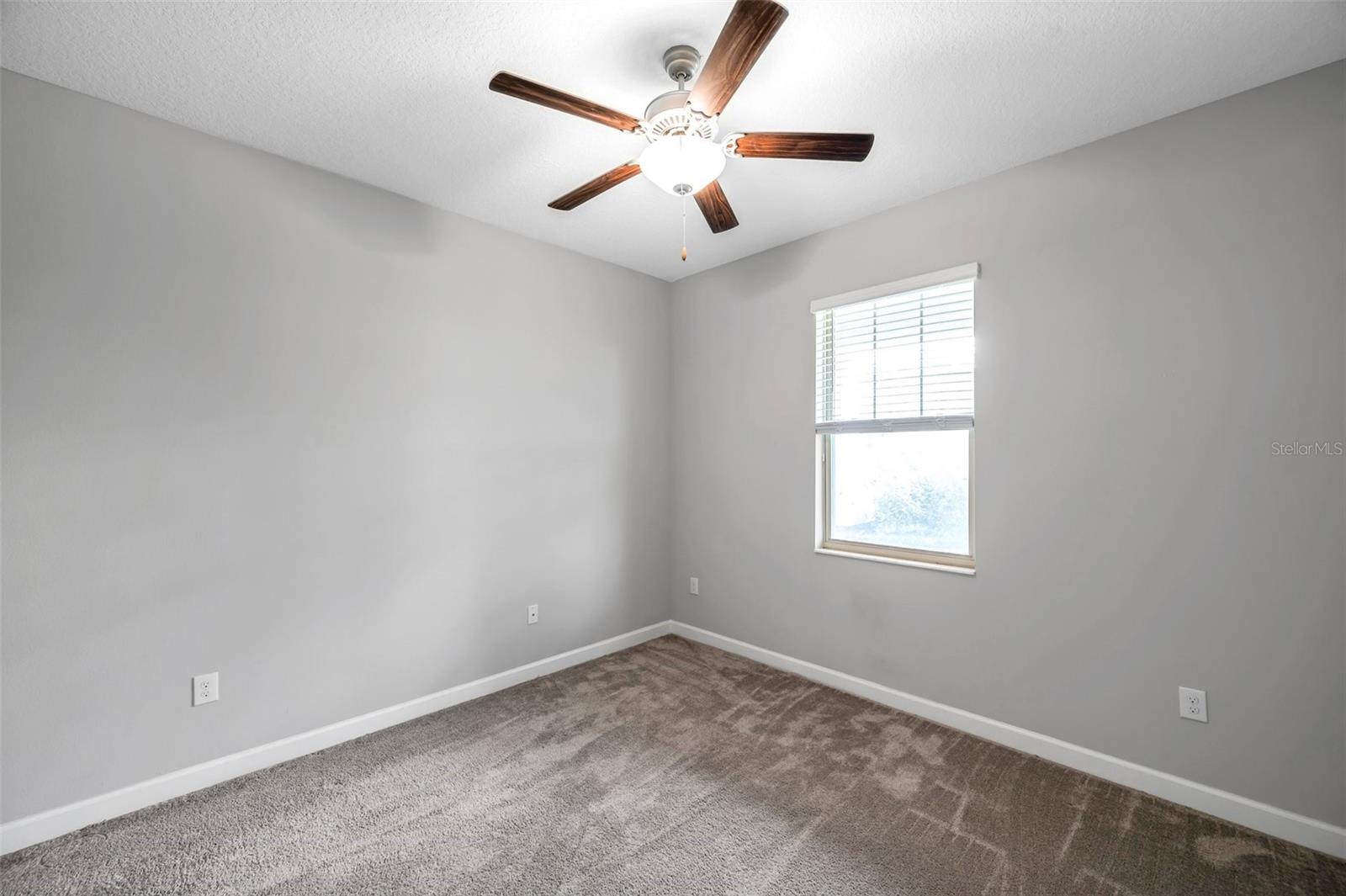 11412 FRESHWATER RIDGE DR, RIVERVIEW, FL, 33569
