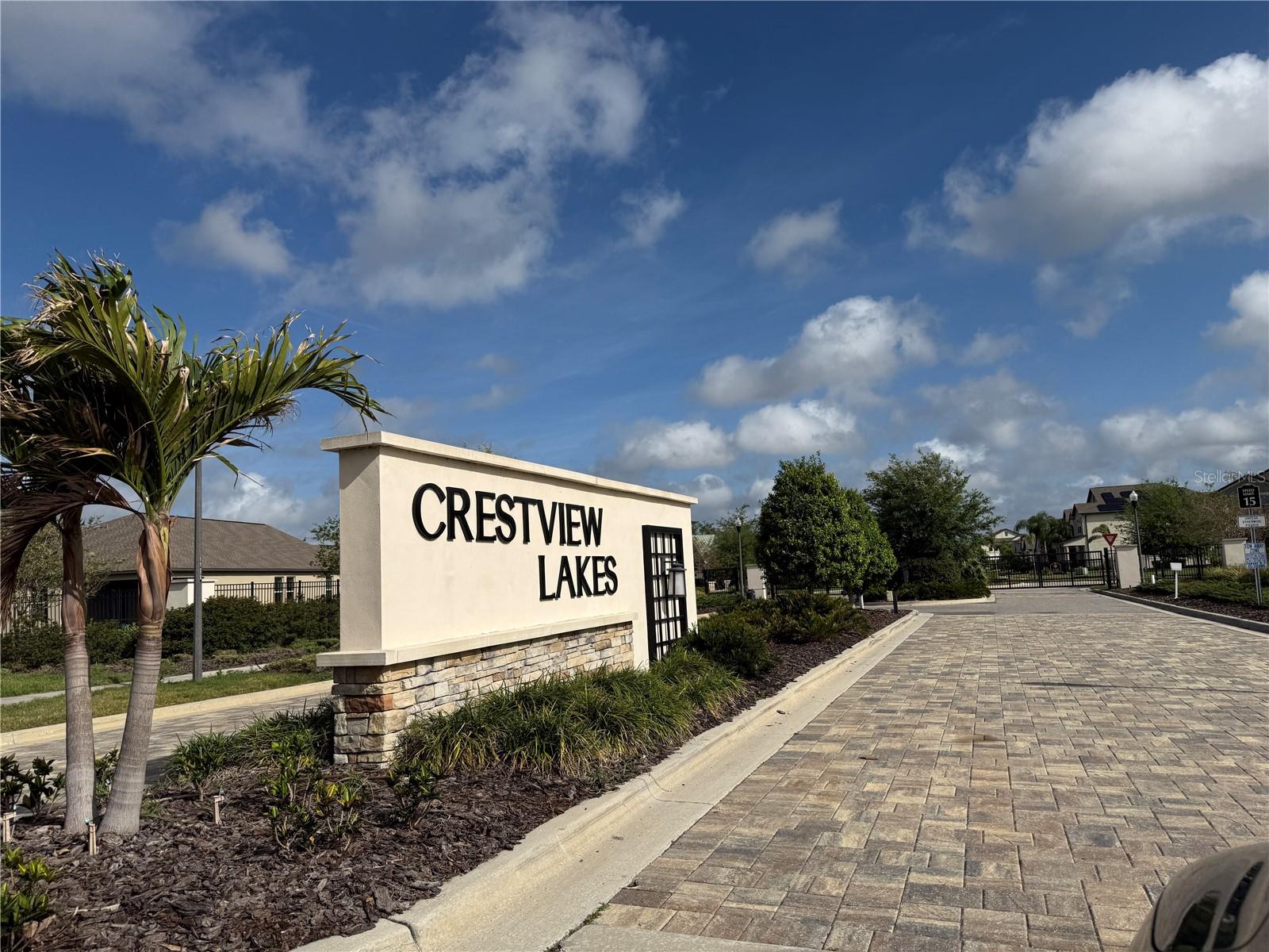 11412 FRESHWATER RIDGE DR, RIVERVIEW, FL, 33569