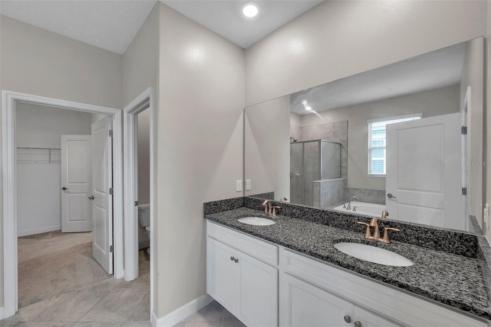 11412 FRESHWATER RIDGE DR, RIVERVIEW, FL, 33569