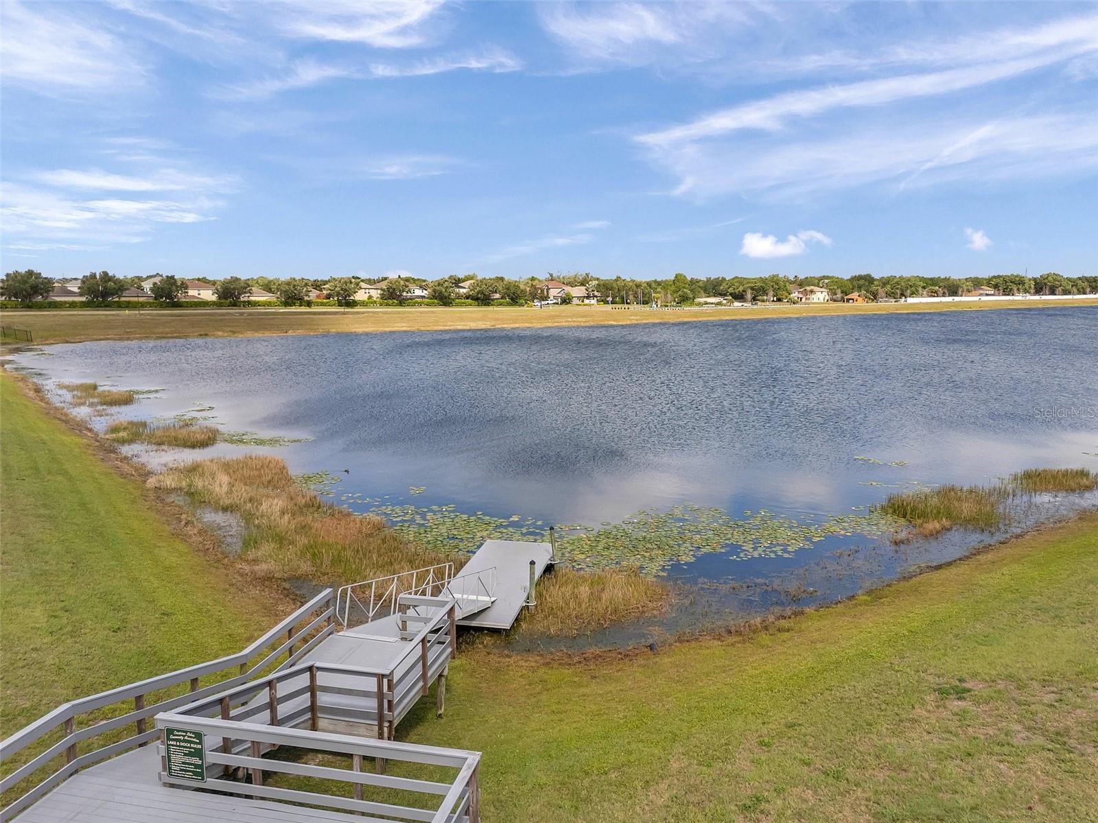 11412 FRESHWATER RIDGE DR, RIVERVIEW, FL, 33569