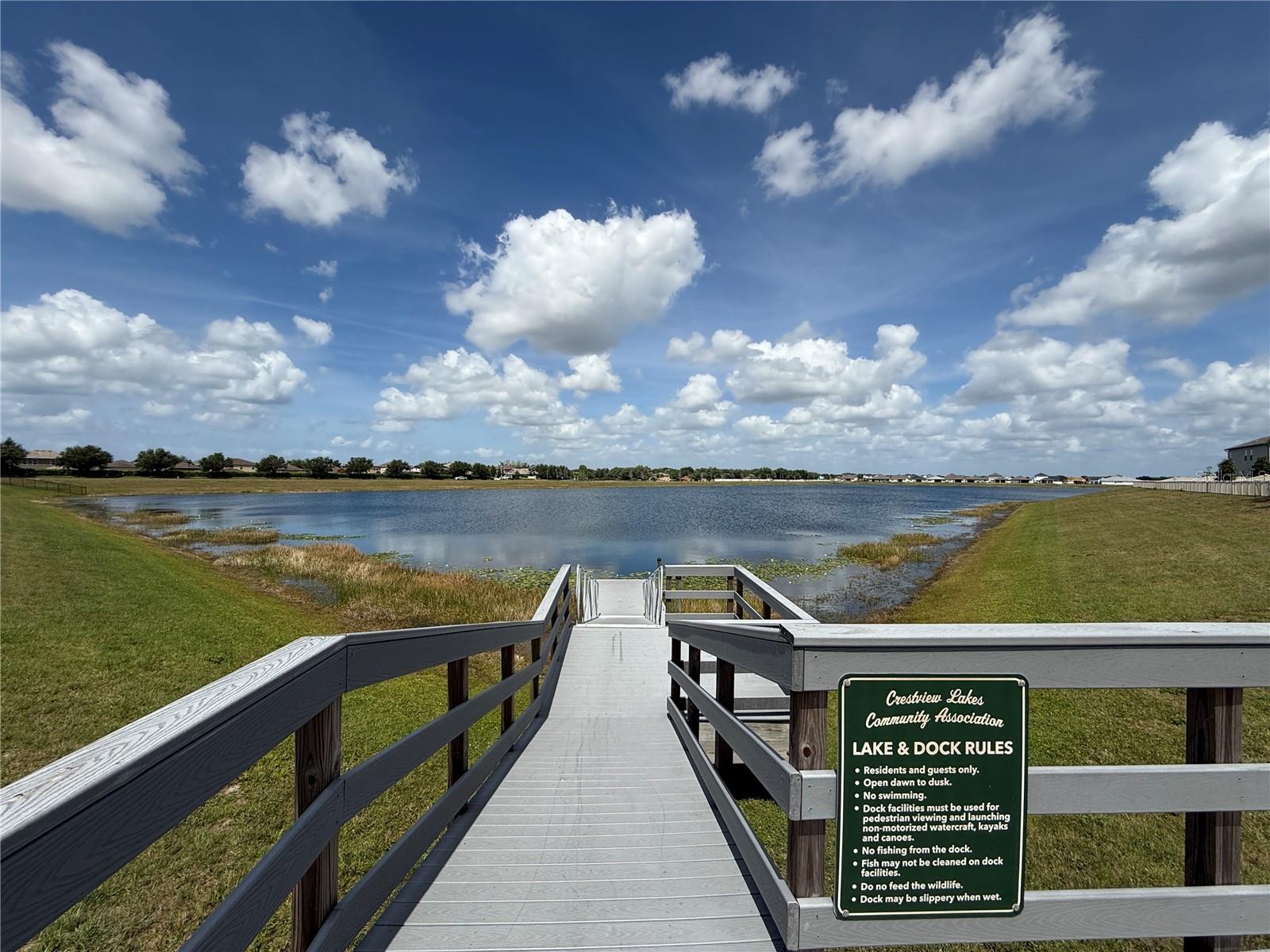 11412 FRESHWATER RIDGE DR, RIVERVIEW, FL, 33569