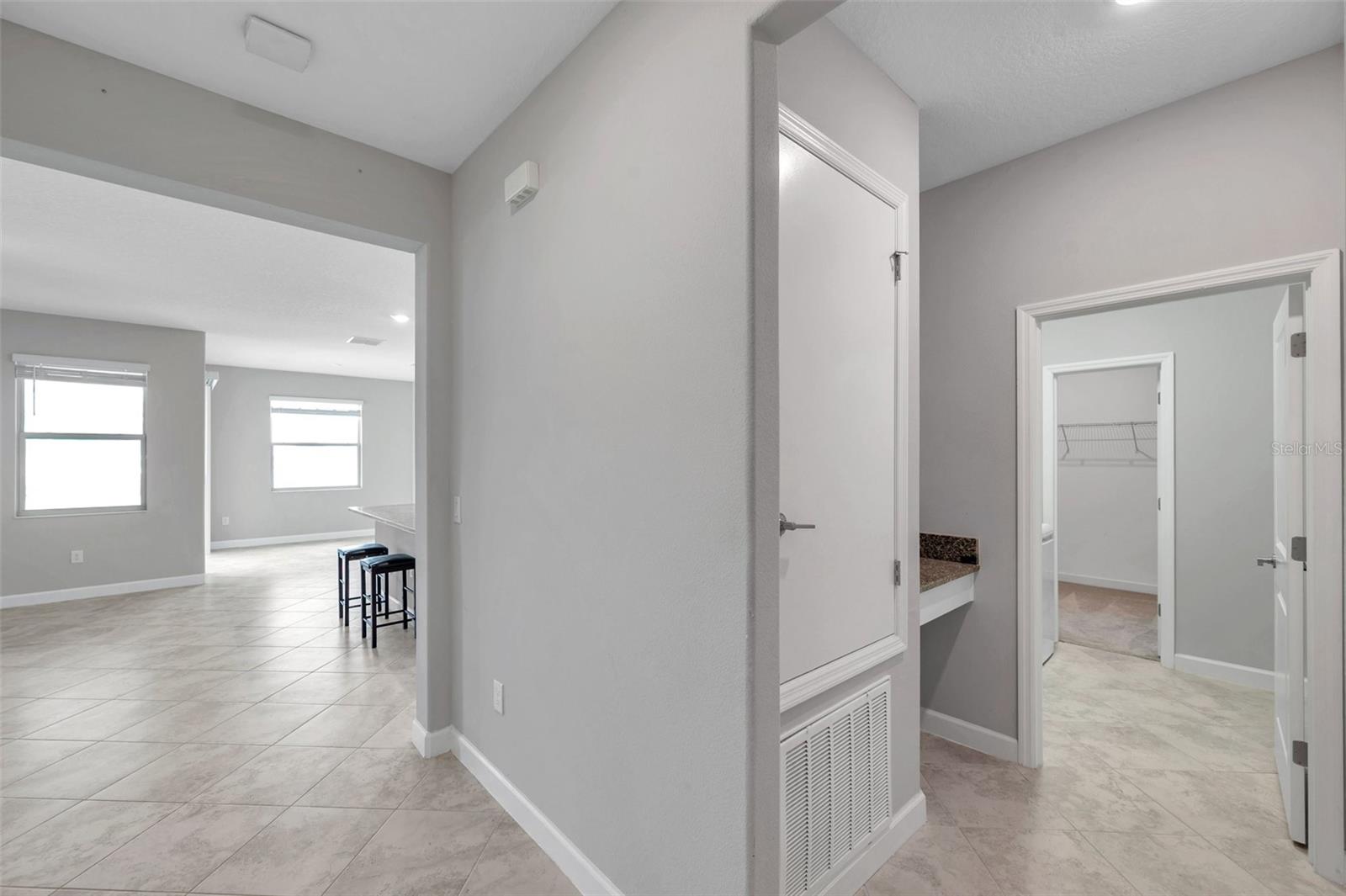 11412 FRESHWATER RIDGE DR, RIVERVIEW, FL, 33569