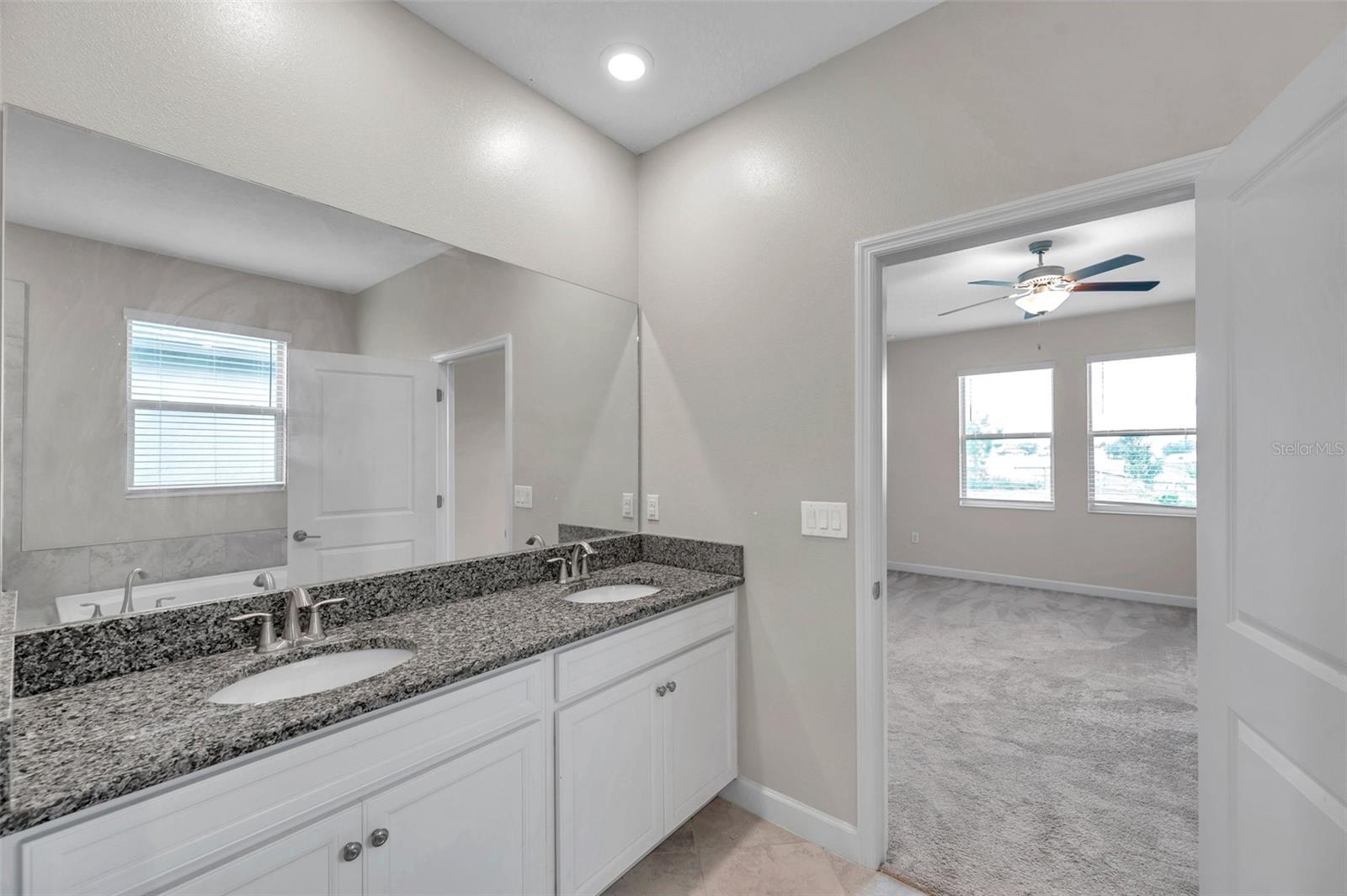 11412 FRESHWATER RIDGE DR, RIVERVIEW, FL, 33569