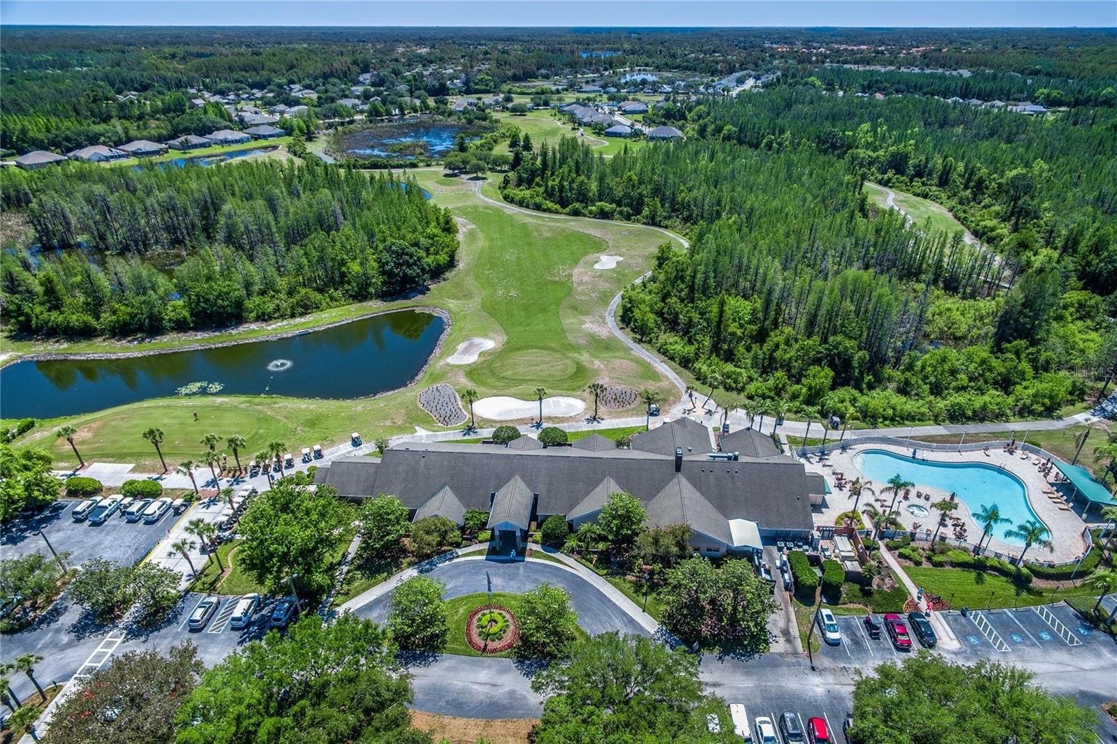 20721 NECTARINE PL, LAND O LAKES, FL, 34637