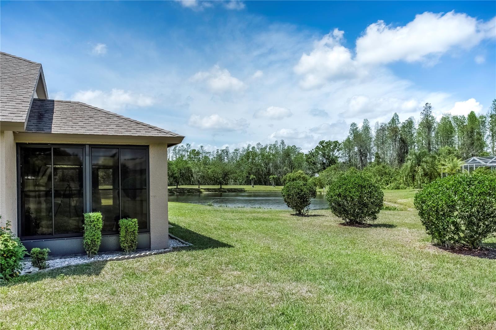20721 NECTARINE PL, LAND O LAKES, FL, 34637