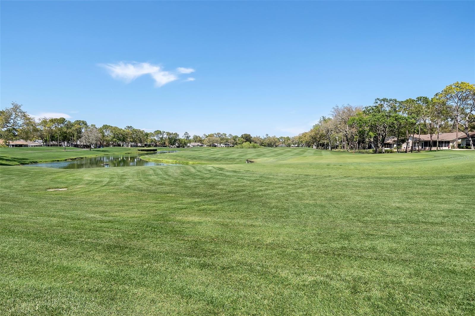 2309 TERRACE VIEW LN, SPRING HILL, FL, 34606