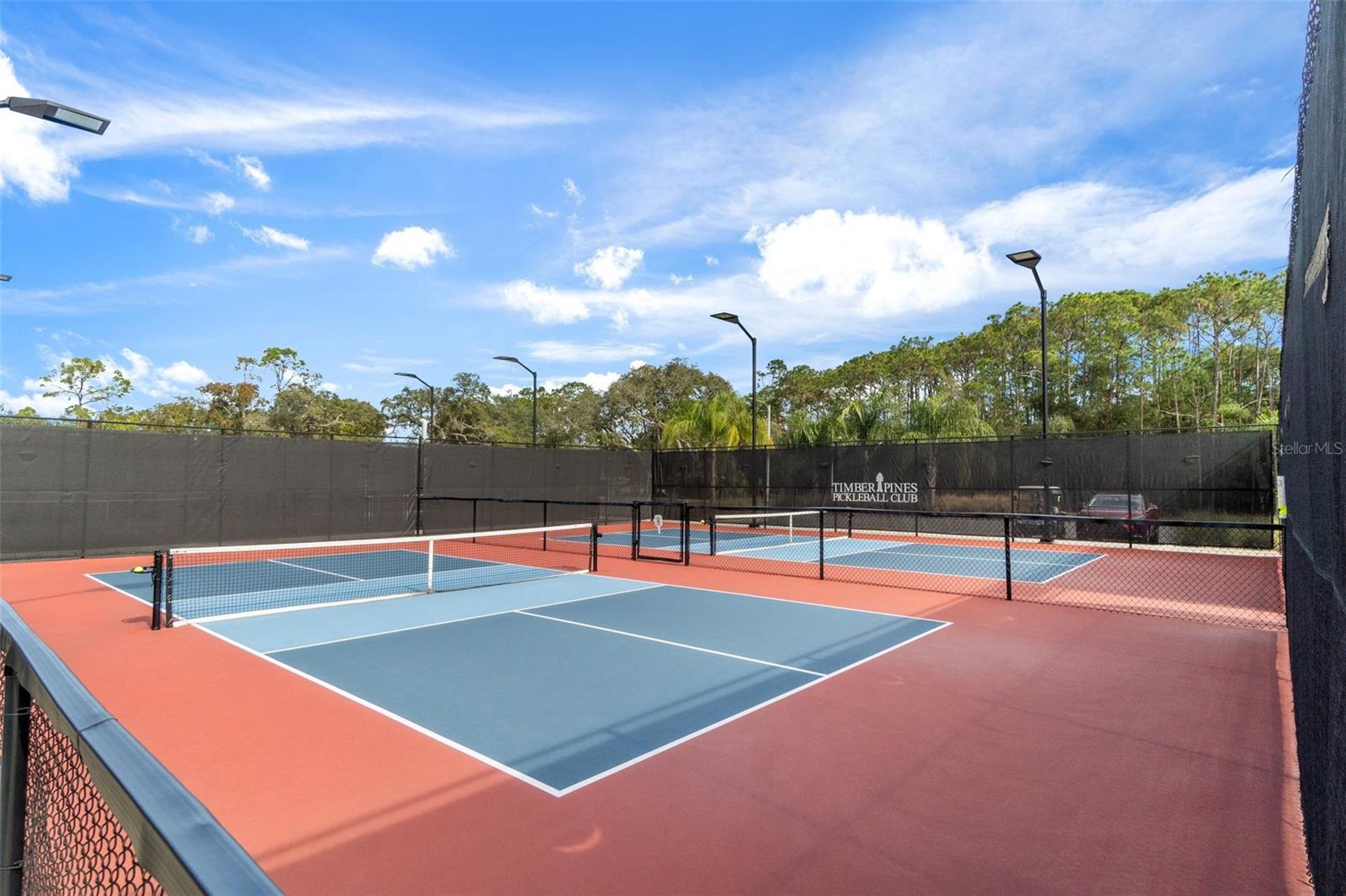 2309 TERRACE VIEW LN, SPRING HILL, FL, 34606