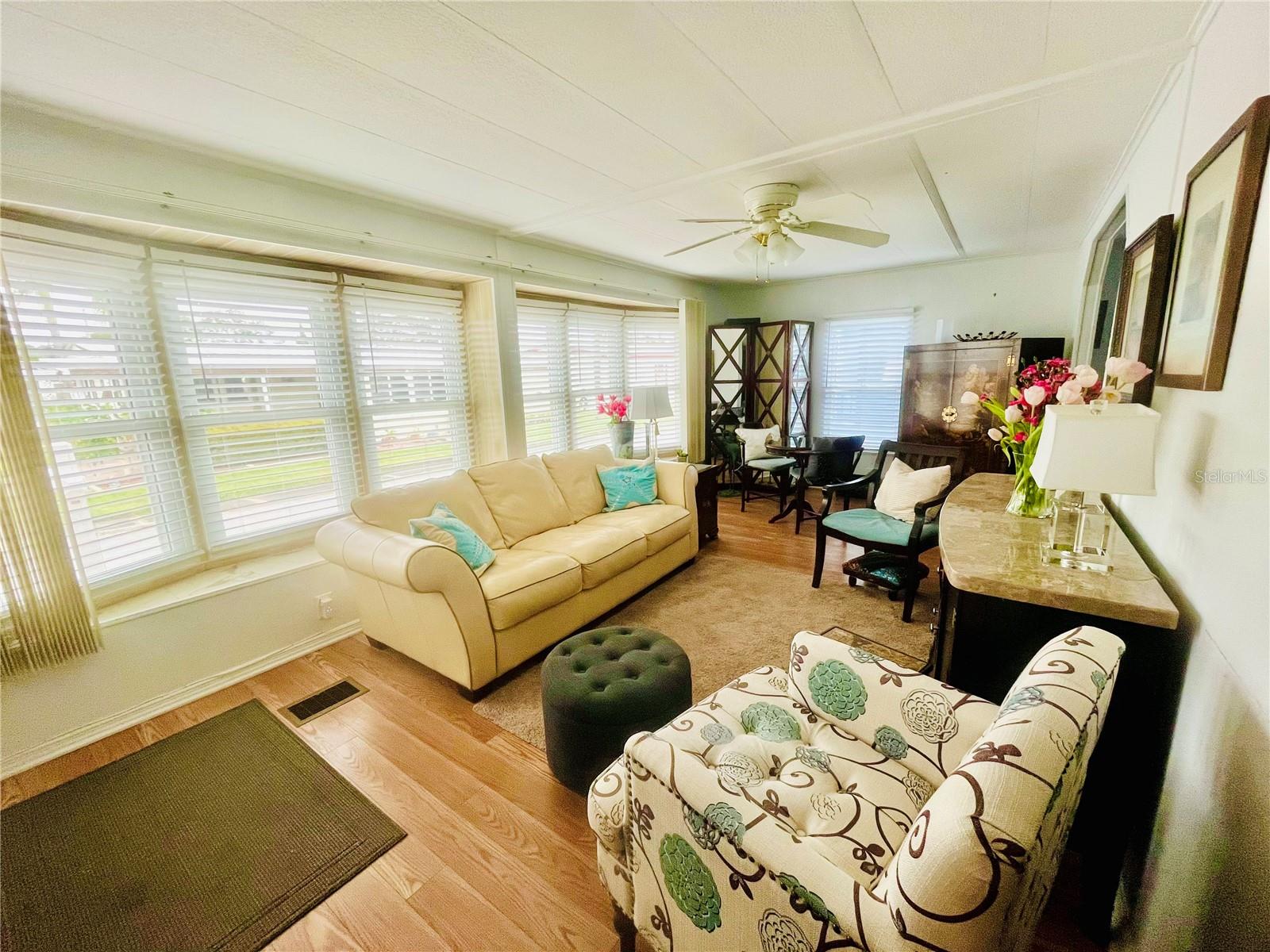 133 CEDAR DR, PALM HARBOR, FL, 34684