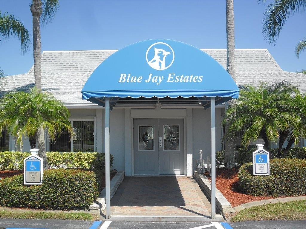 133 CEDAR DR, PALM HARBOR, FL, 34684