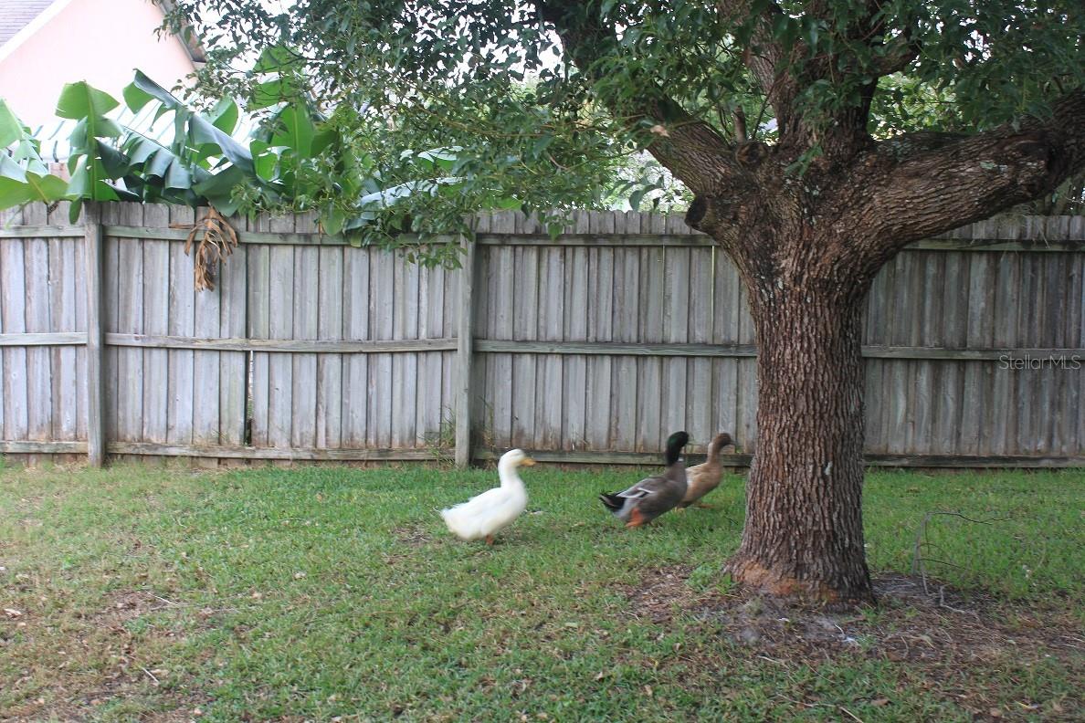 13614 GLASSER AVE, ORLANDO, FL, 32826