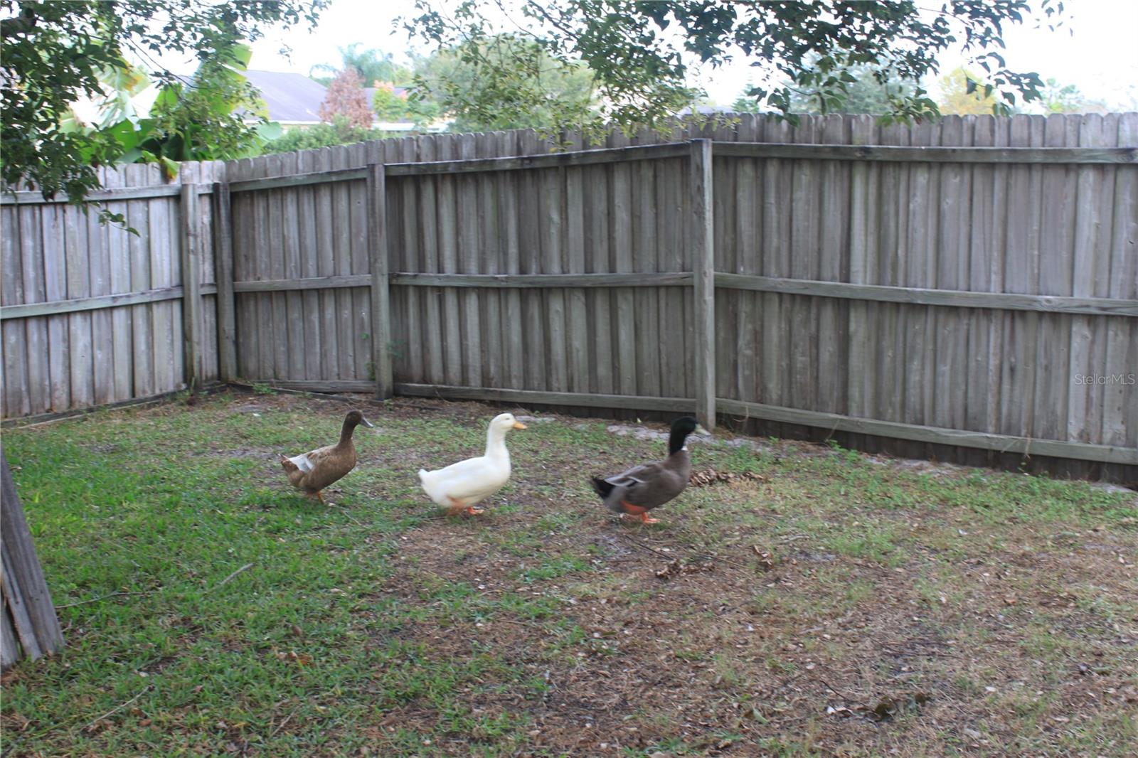 13614 GLASSER AVE, ORLANDO, FL, 32826