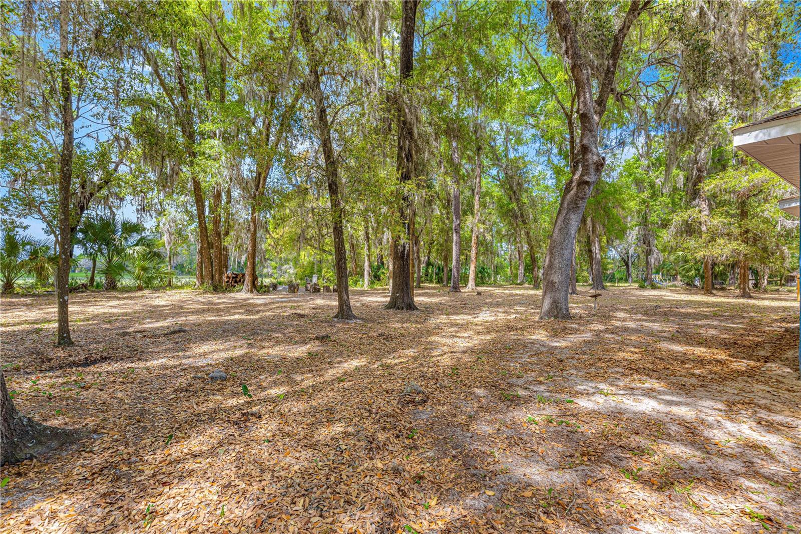 24320 NE 127TH AVE, FORT MC COY, FL, 32134