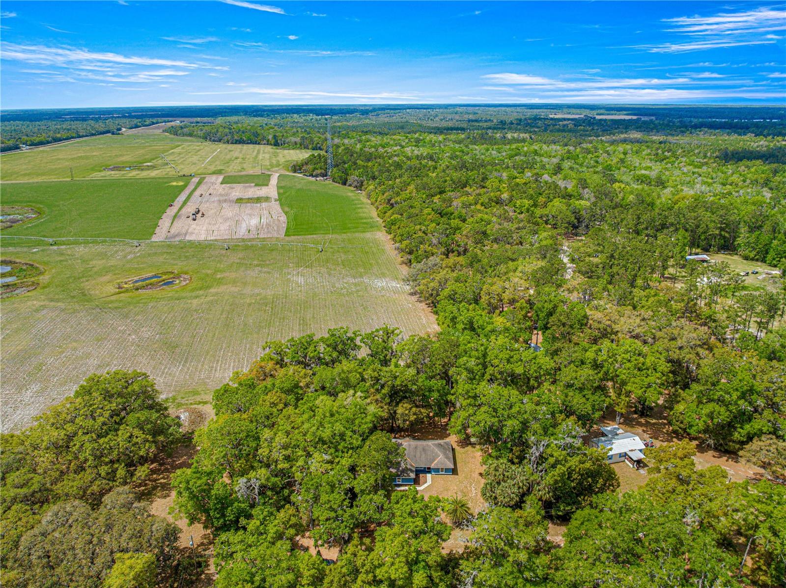 24320 NE 127TH AVE, FORT MC COY, FL, 32134