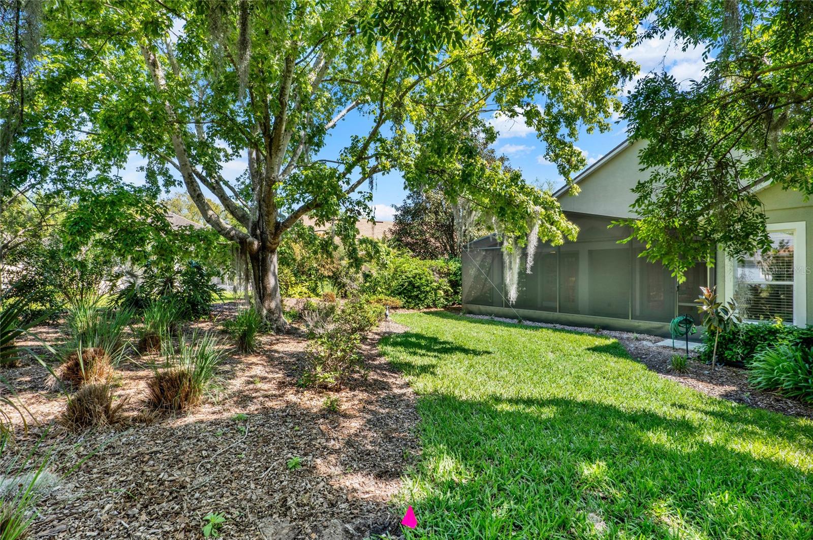 709 HERON POINT WAY, DELAND, FL, 32724