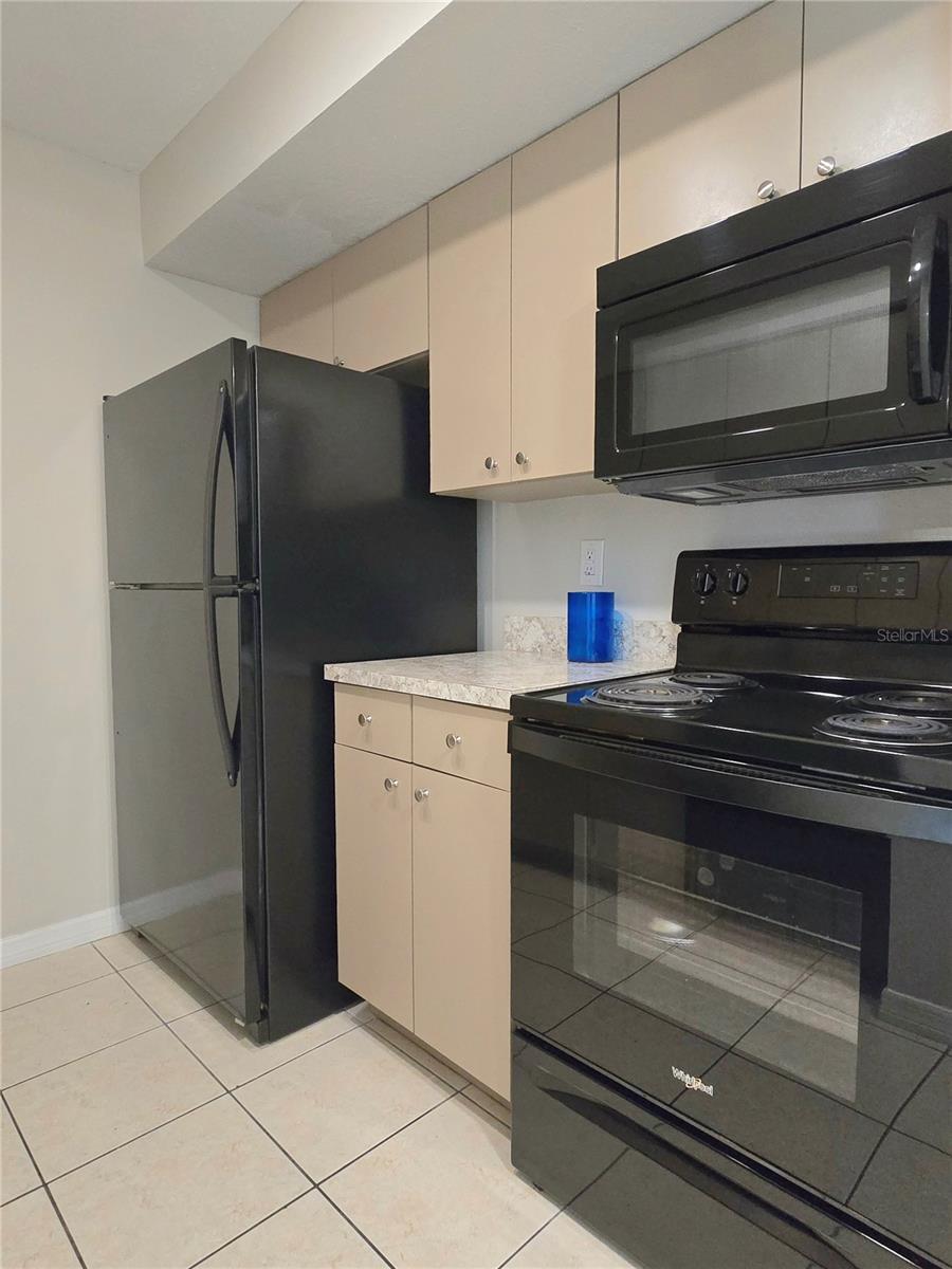 14663 NORWOOD OAKS DR #103, TAMPA, FL, 33613