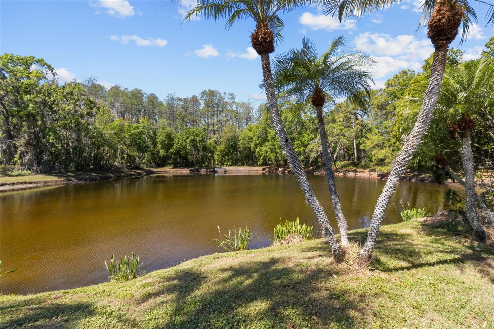 7314 EVESBOROUGH LN, NEW PORT RICHEY, FL, 34655