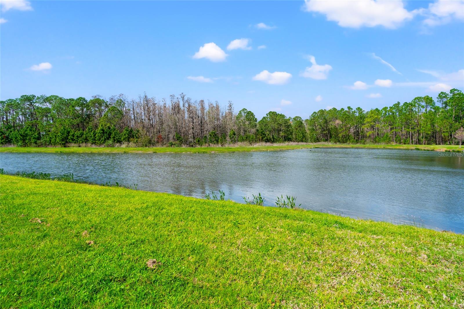 4896 SAN MARTINO DR, WESLEY CHAPEL, FL, 33543