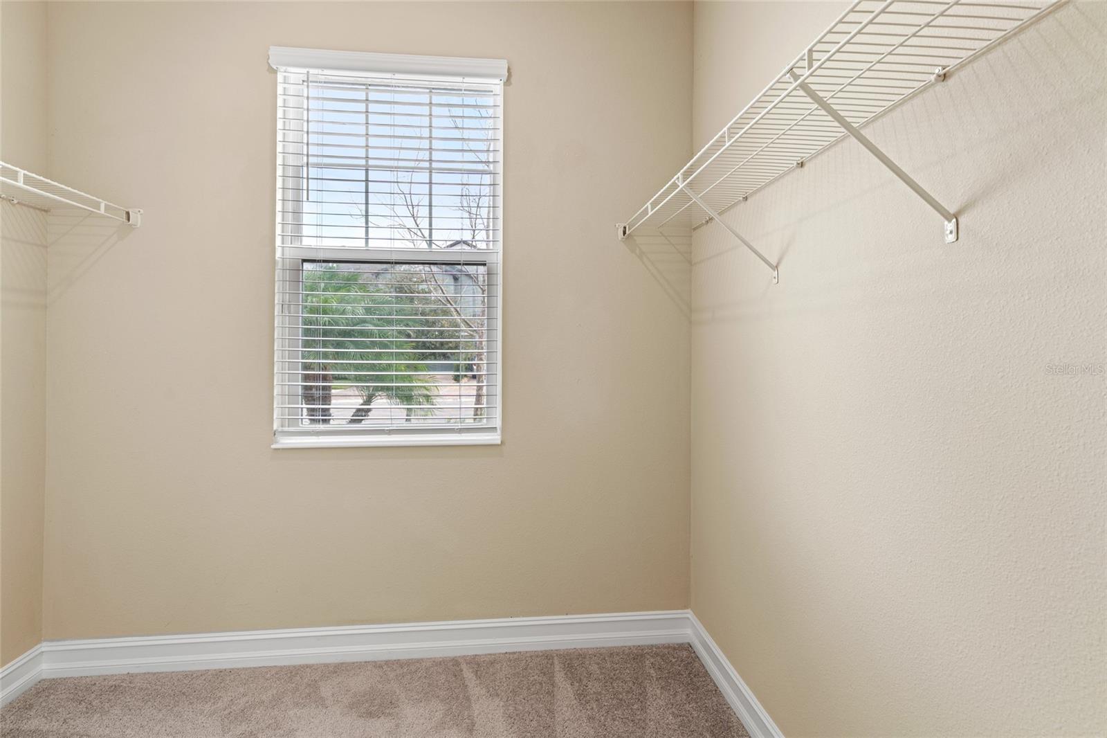 4896 SAN MARTINO DR, WESLEY CHAPEL, FL, 33543