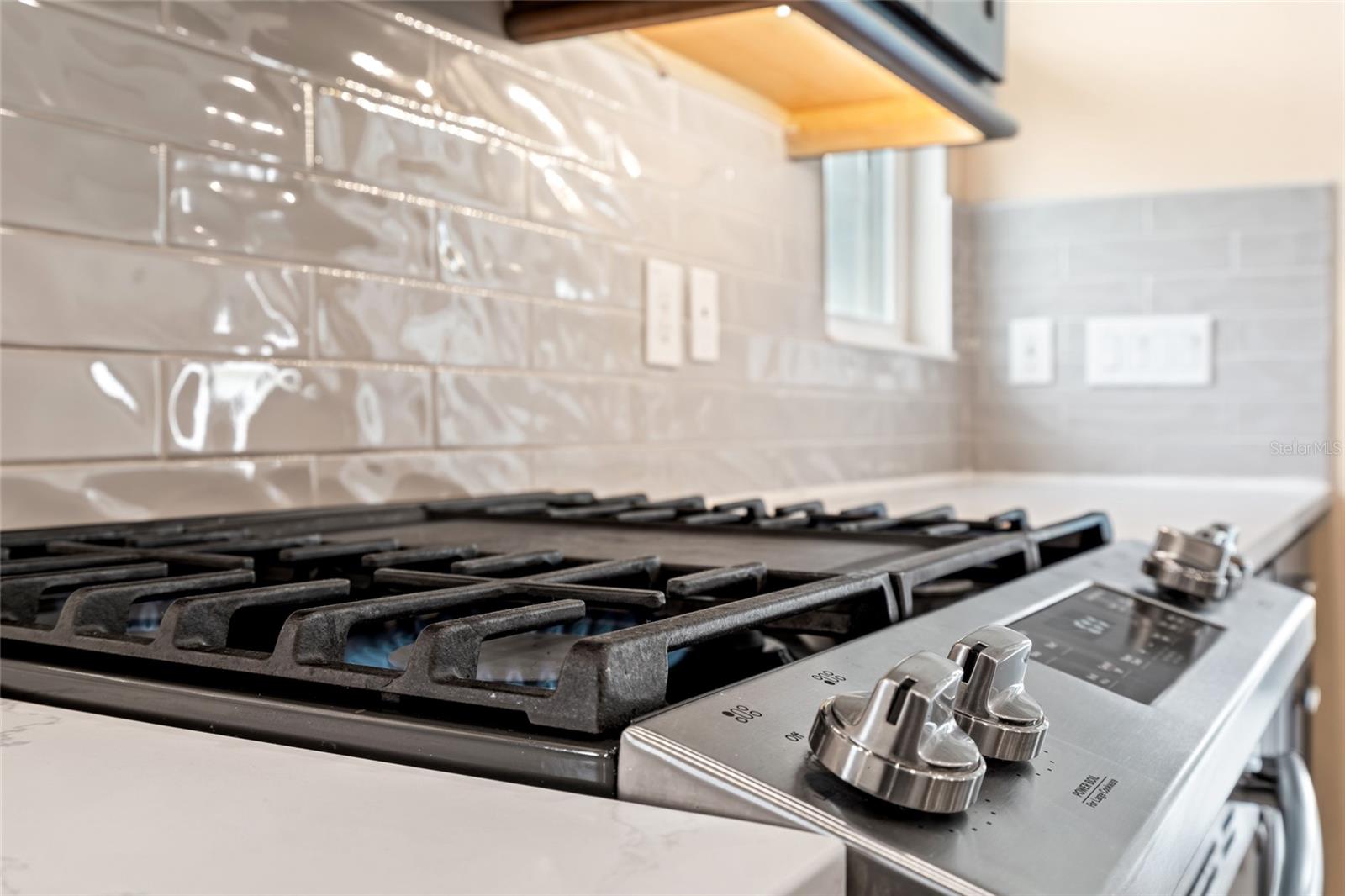 4896 SAN MARTINO DR, WESLEY CHAPEL, FL, 33543