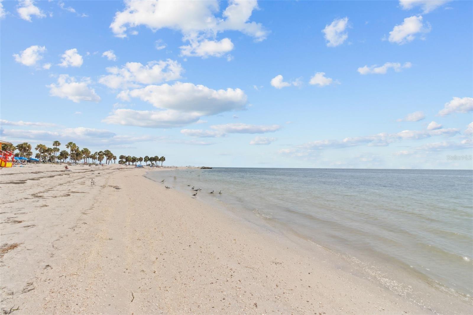 426 VILLAGE DR, TARPON SPRINGS, FL, 34689