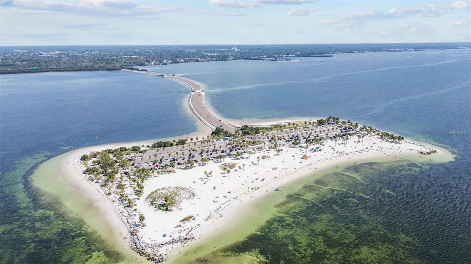 426 VILLAGE DR, TARPON SPRINGS, FL, 34689