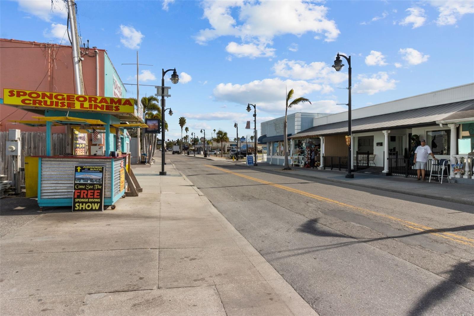 426 VILLAGE DR, TARPON SPRINGS, FL, 34689