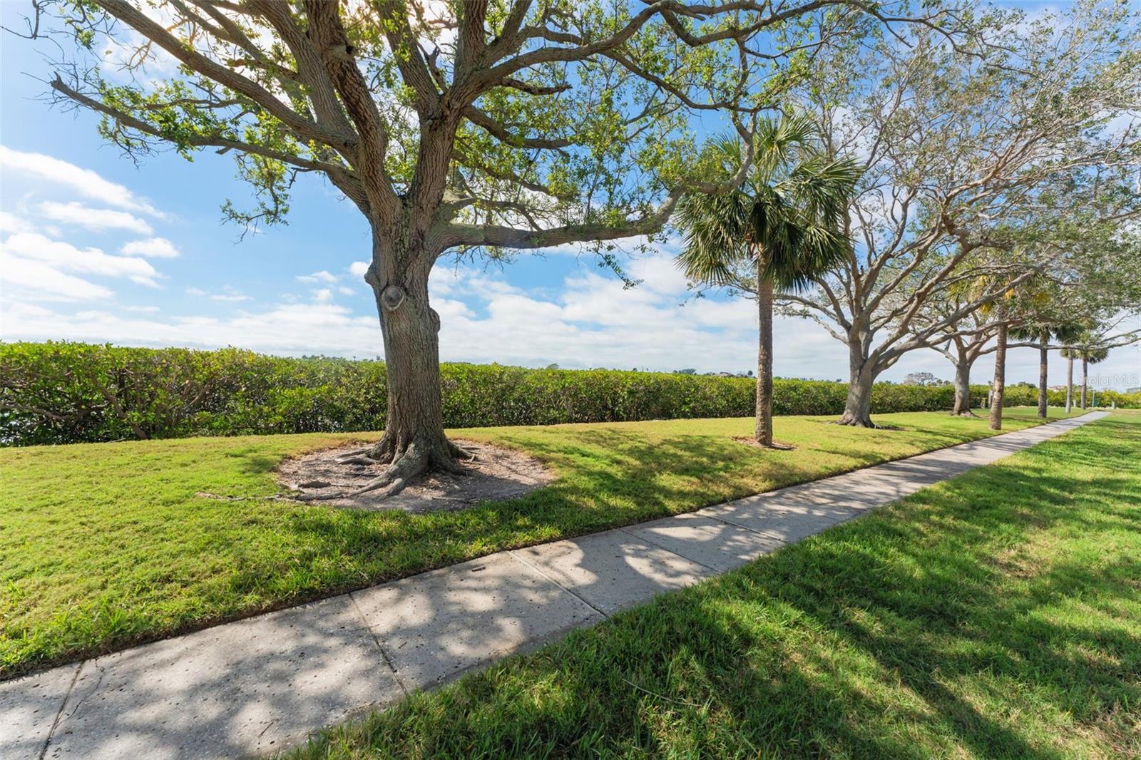 7075 SUNSET DR S, SOUTH PASADENA, FL, 33707