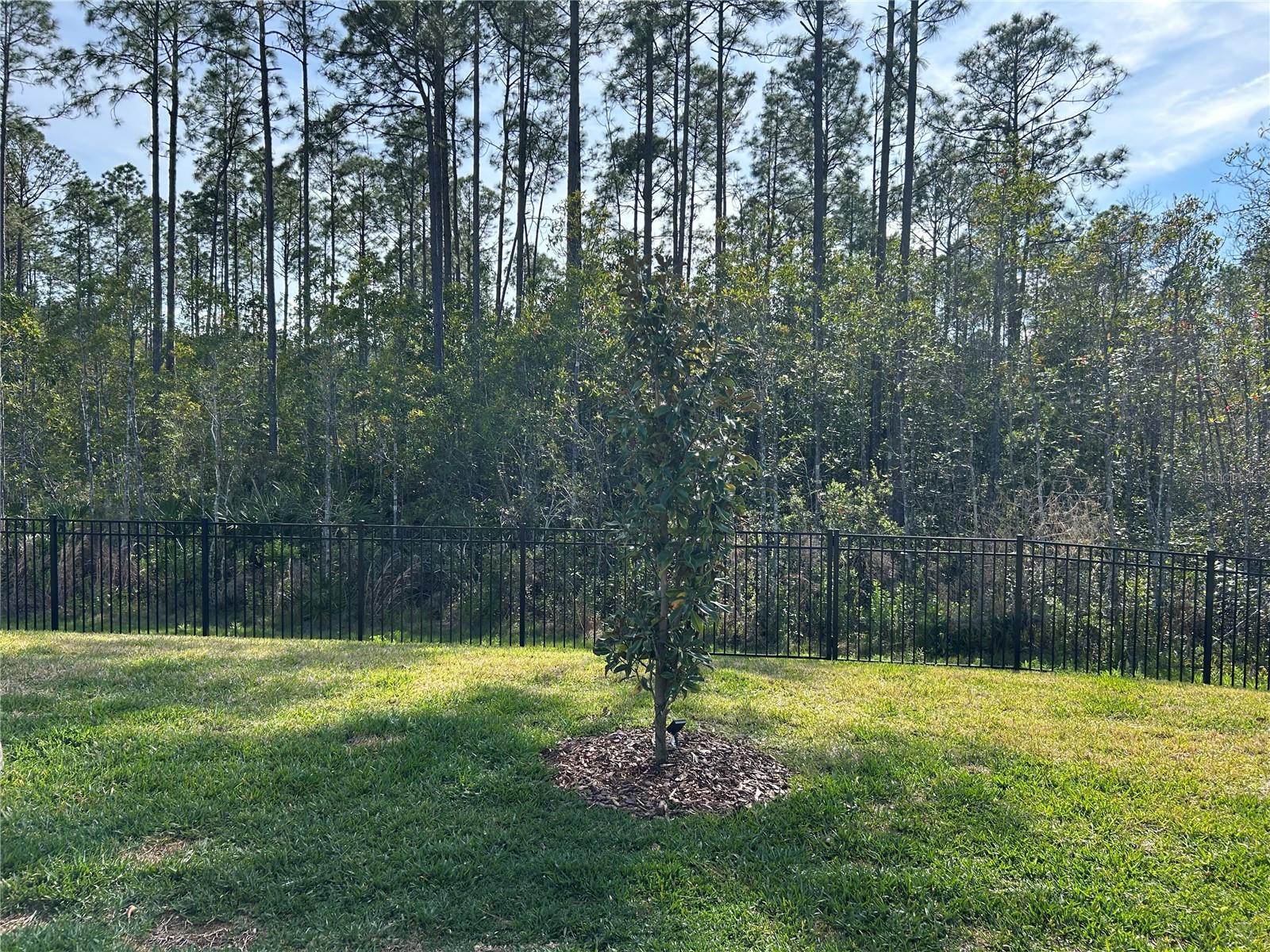 16 BLUE GROTTO PL, PALM COAST, FL, 32137