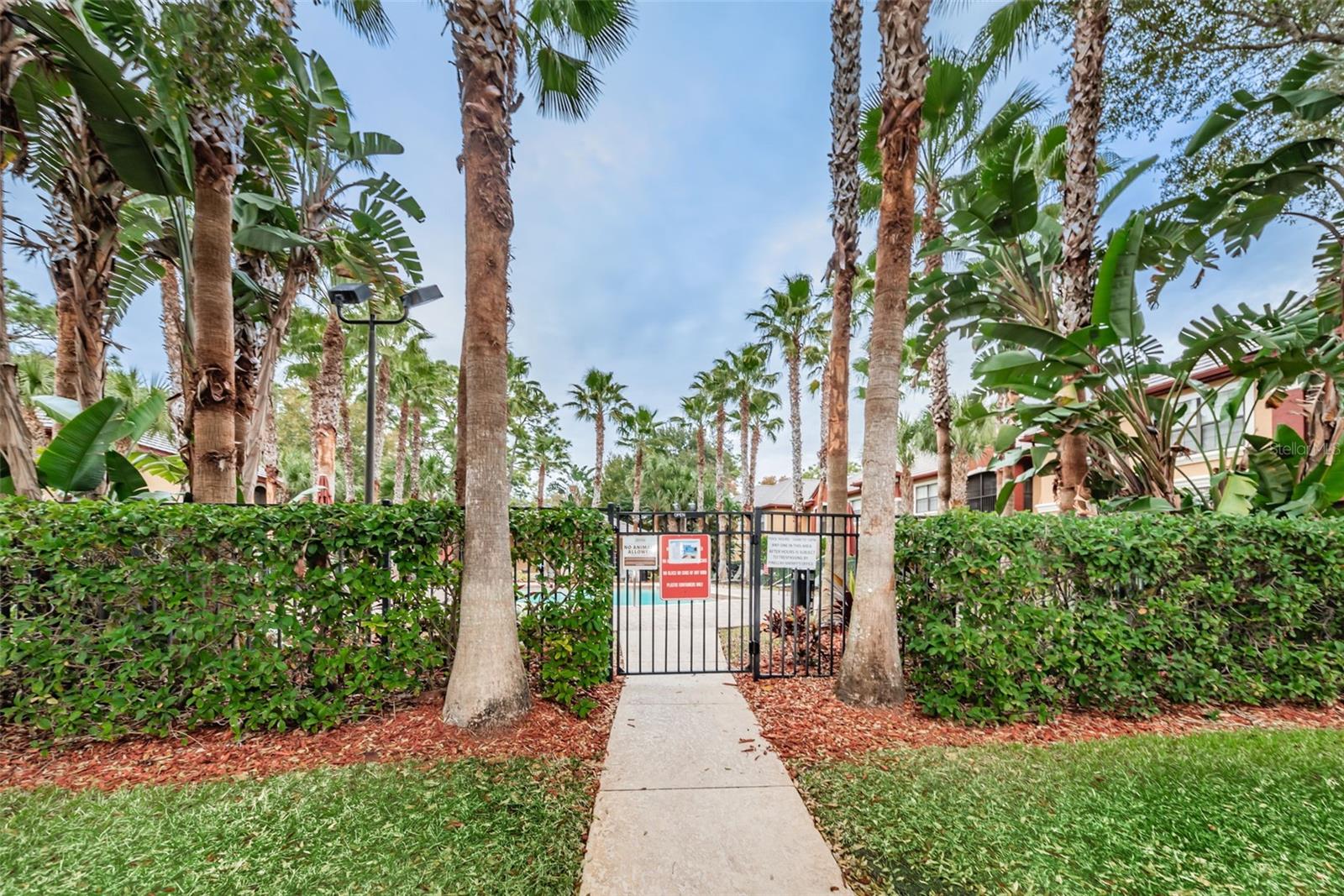2107 PORTOFINO PL #3011, PALM HARBOR, FL, 34683