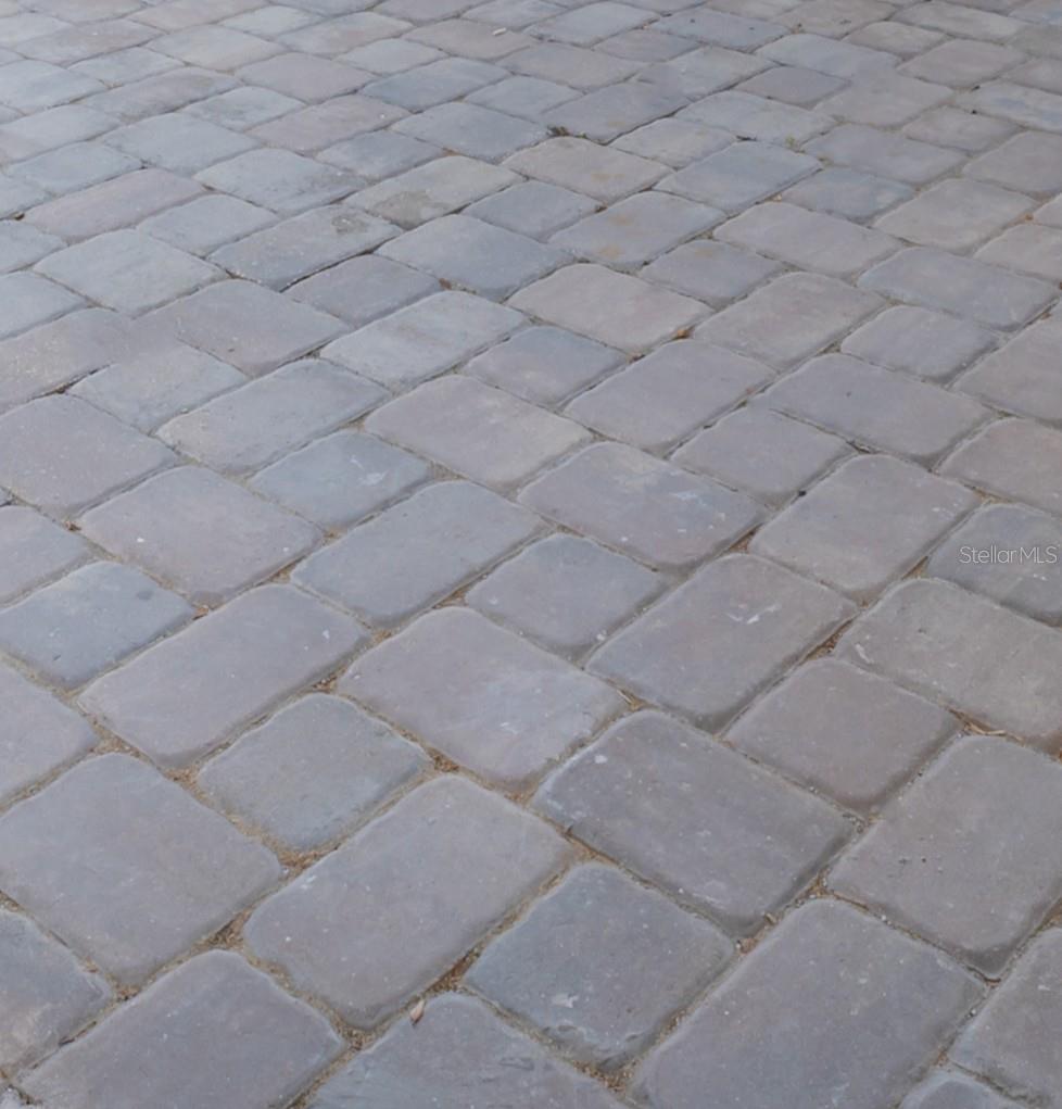 7006 N DUNCAN AVE, TAMPA, FL, 33604