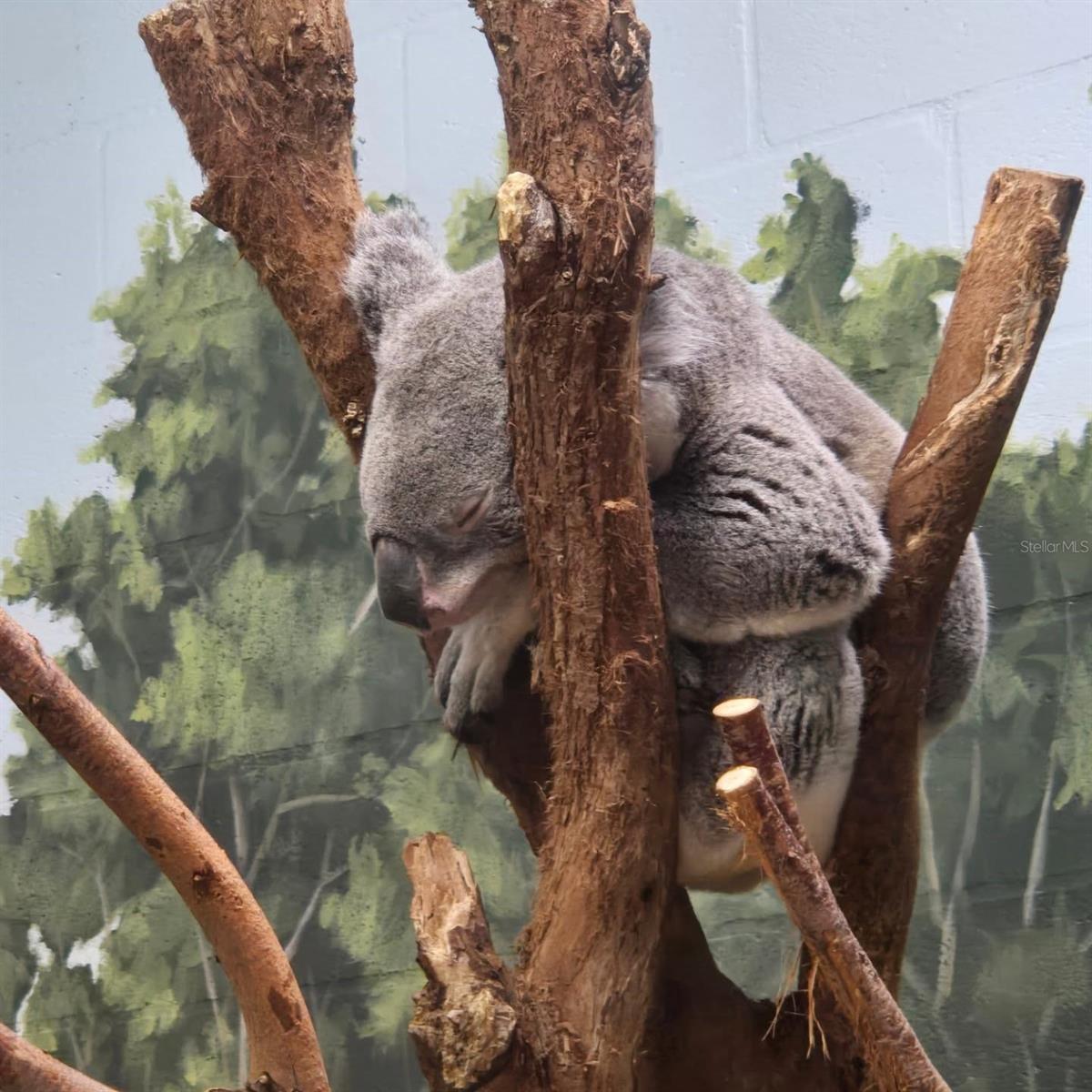 7006 N DUNCAN AVE, TAMPA, FL, 33604