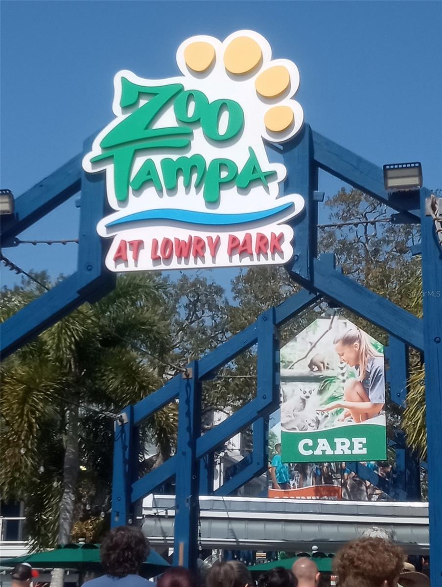 7006 N DUNCAN AVE, TAMPA, FL, 33604