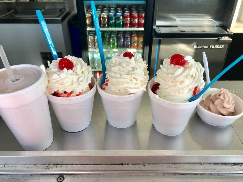 7006 N DUNCAN AVE, TAMPA, FL, 33604