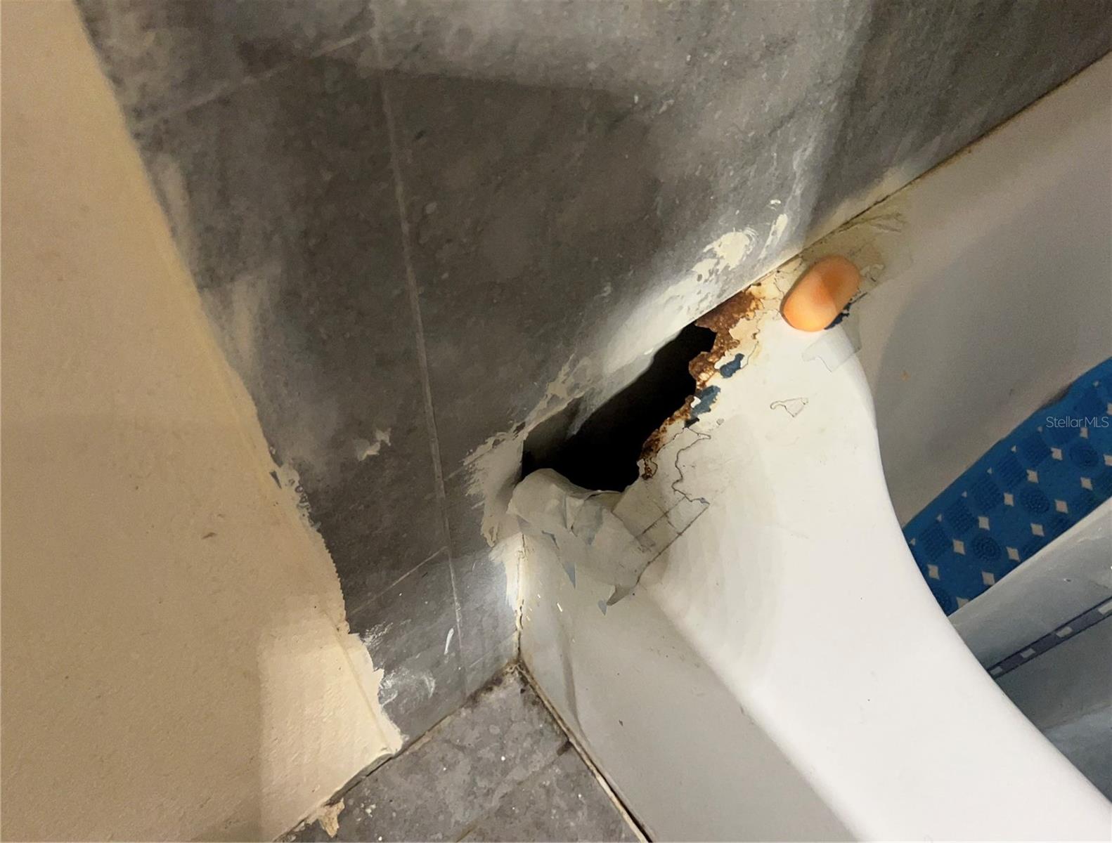 330 S BUENA VISTA AVE, ORLANDO, FL, 32835