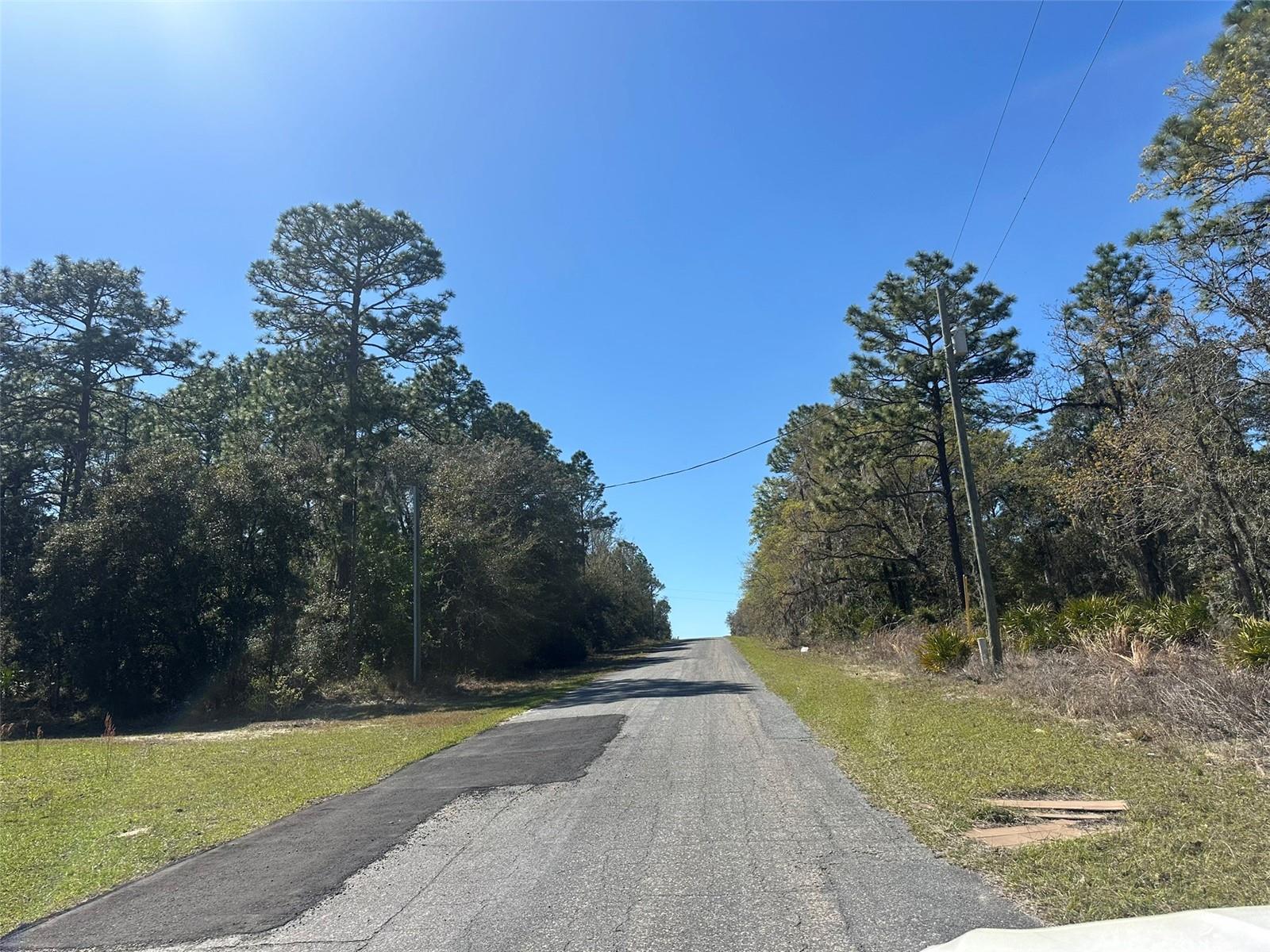 833 W CHAMPLAIN LN, CITRUS SPRINGS, FL, 34434