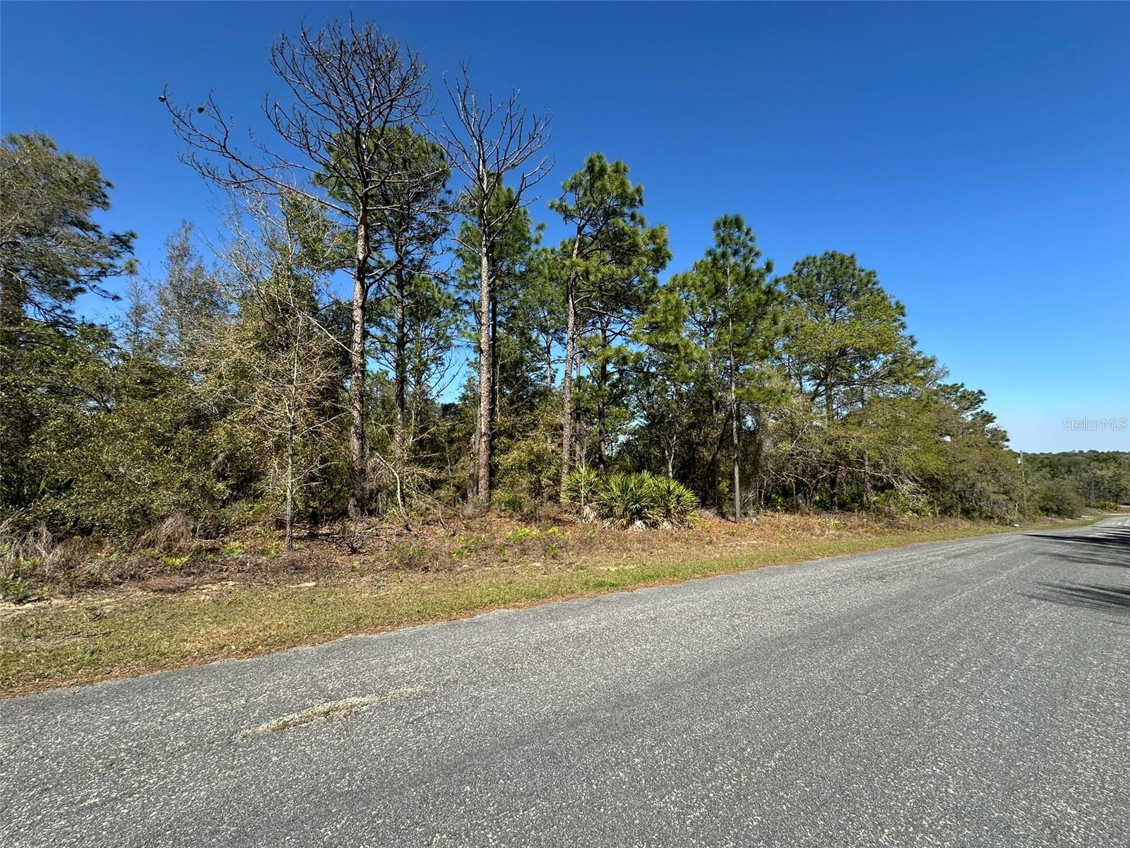 833 W CHAMPLAIN LN, CITRUS SPRINGS, FL, 34434