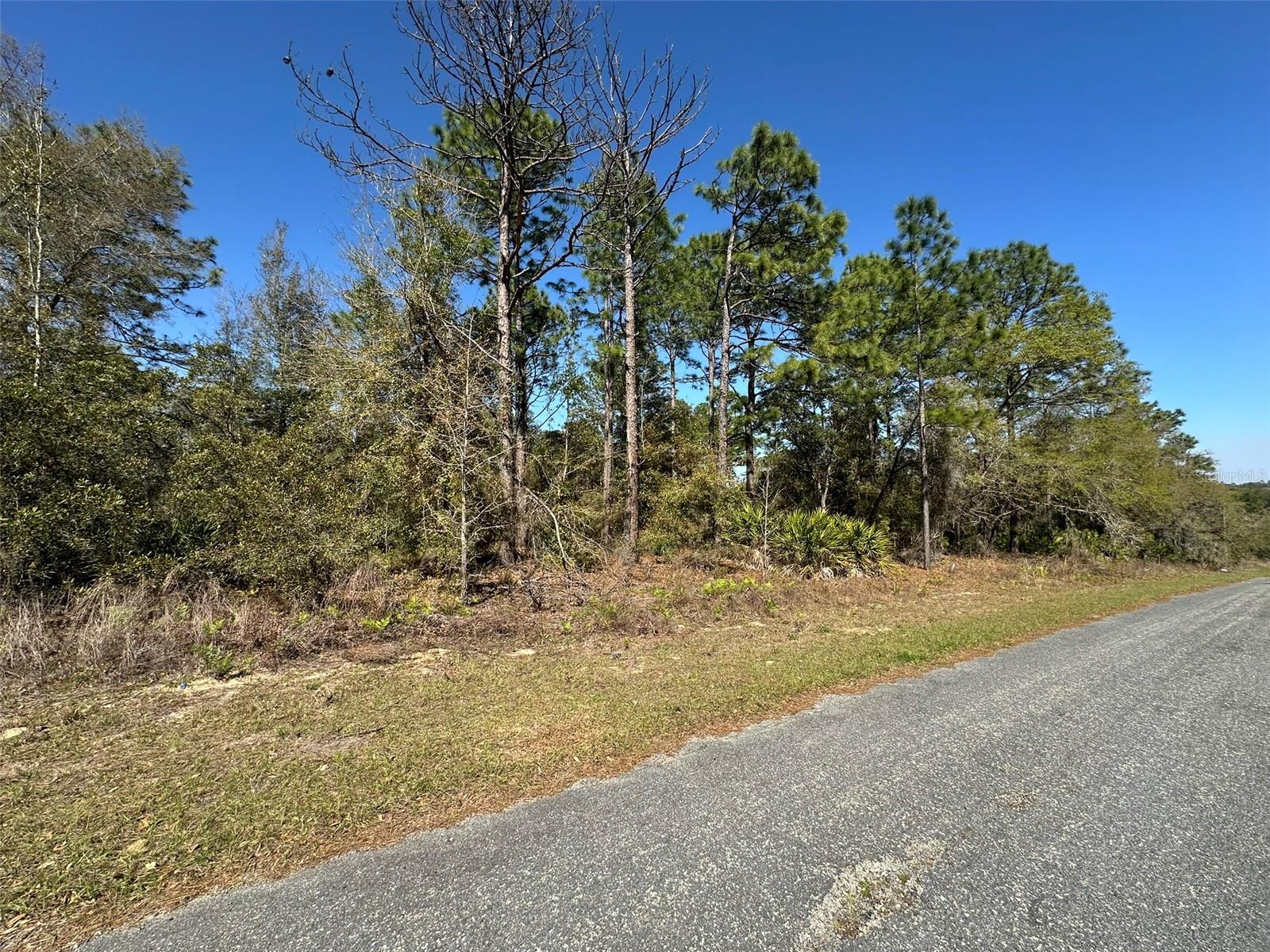 833 W CHAMPLAIN LN, CITRUS SPRINGS, FL, 34434