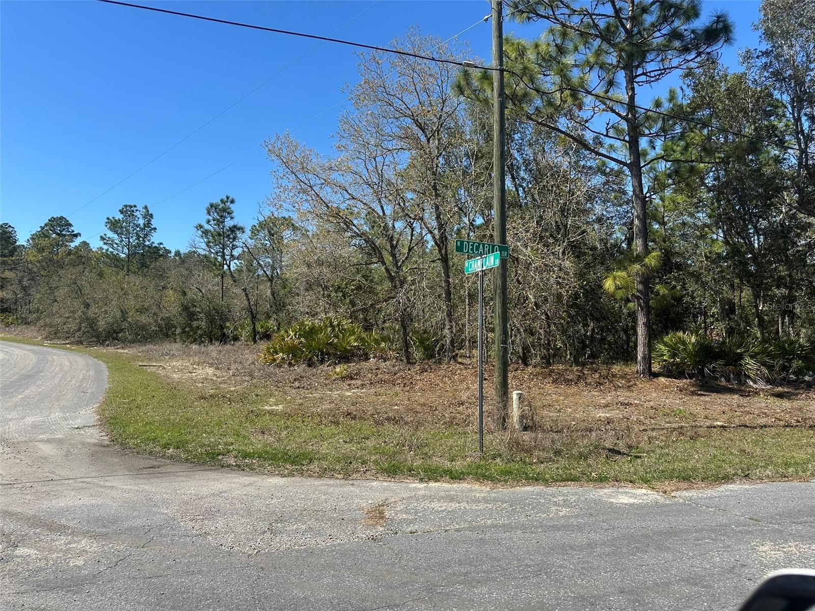 833 W CHAMPLAIN LN, CITRUS SPRINGS, FL, 34434