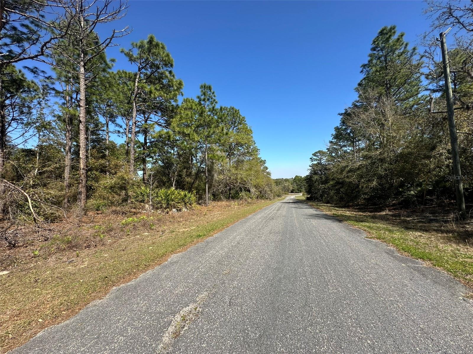 833 W CHAMPLAIN LN, CITRUS SPRINGS, FL, 34434